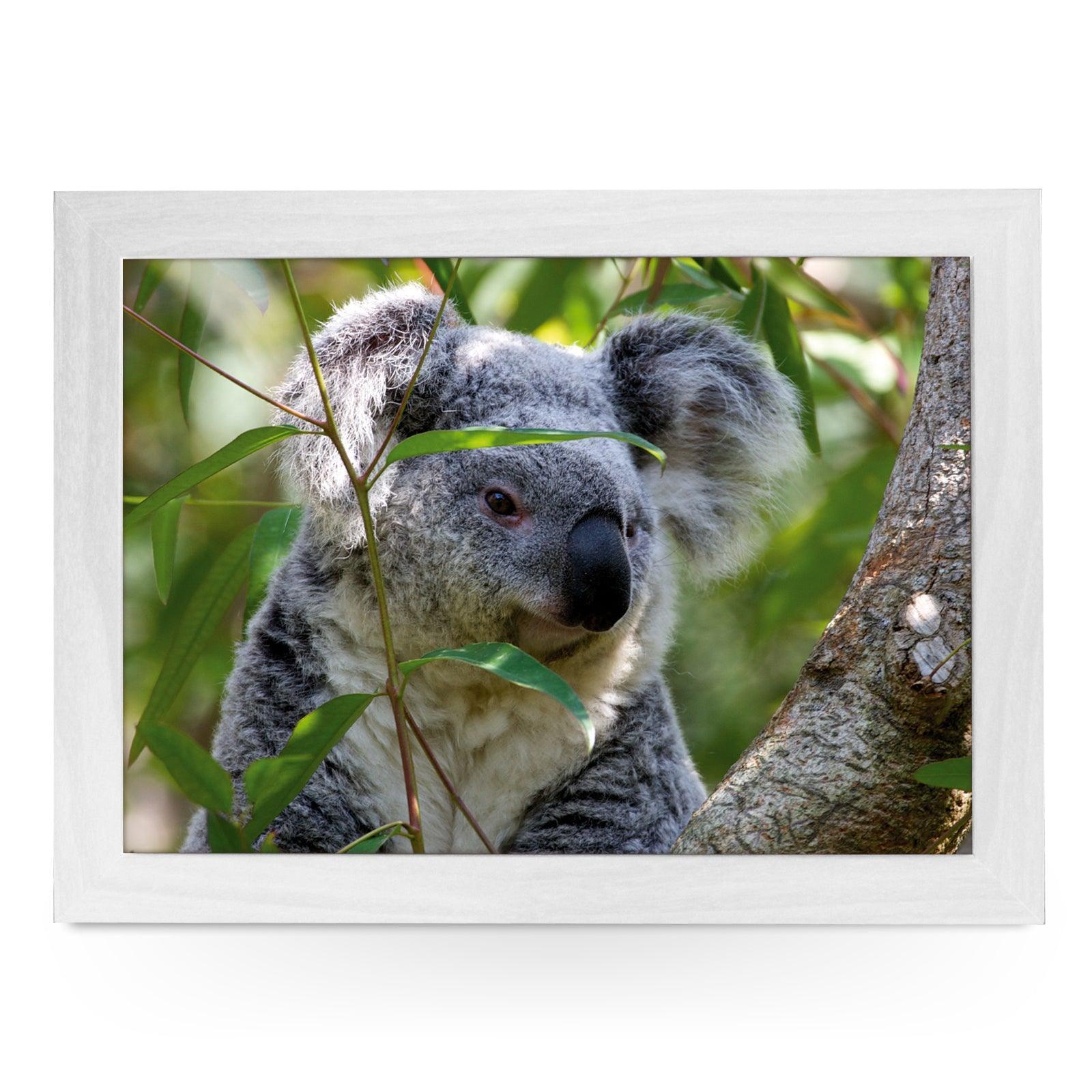 Koala In Tree Lap Tray - L0722 Personalised Lap Trays