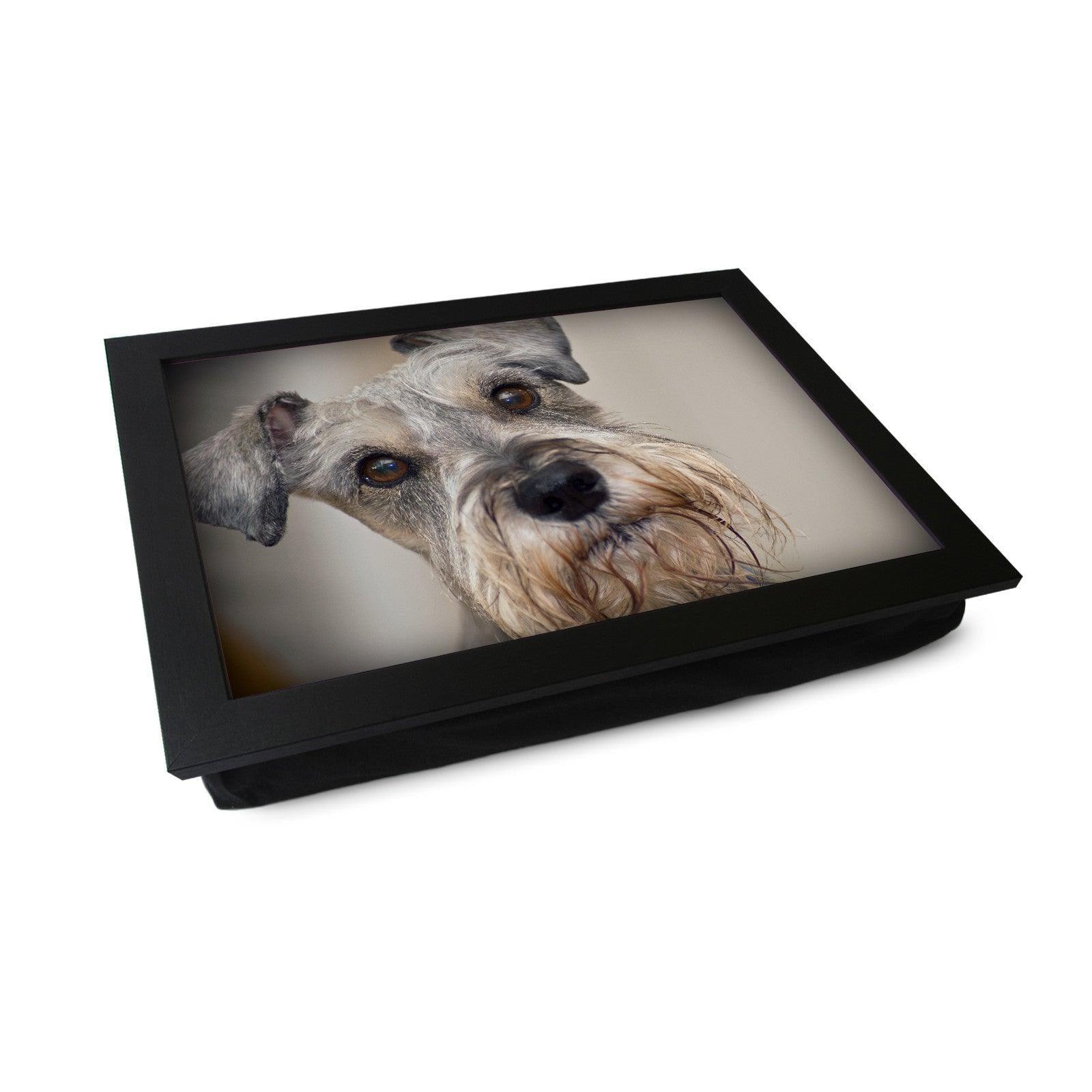 Miniature Schnauzer Lap Tray - L0061 Personalised Lap Trays