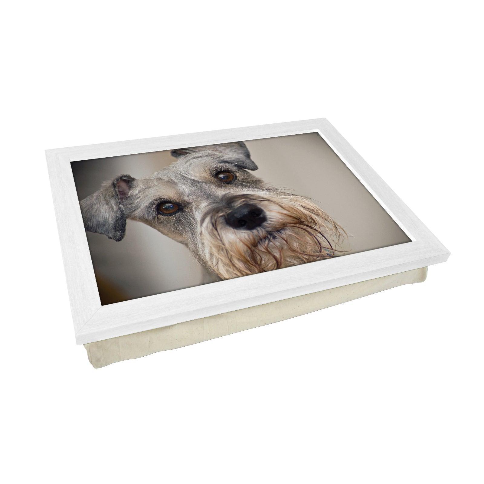 Miniature Schnauzer Lap Tray - L0061 Personalised Lap Trays