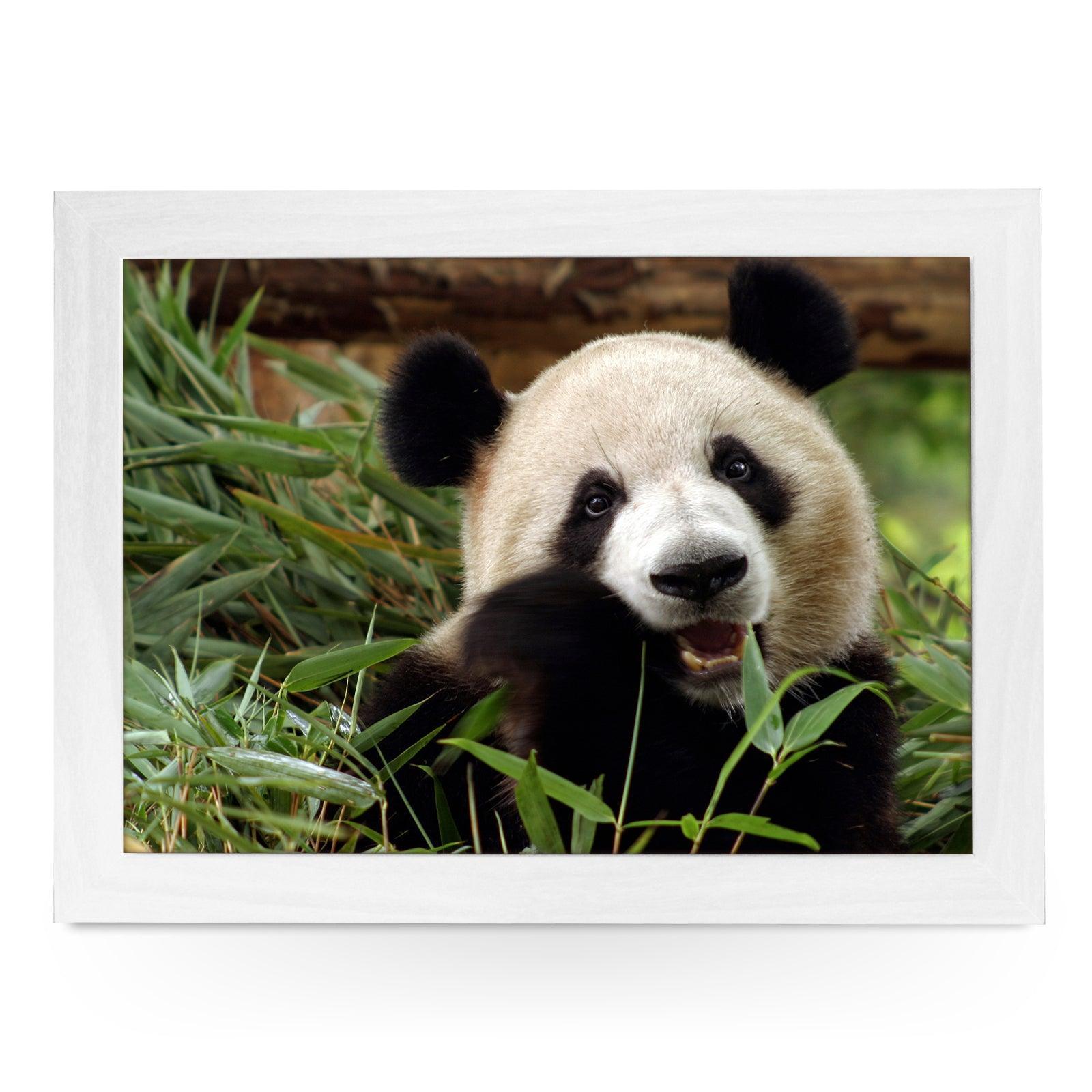 Panda Lap Tray - L0730 Personalised Lap Trays