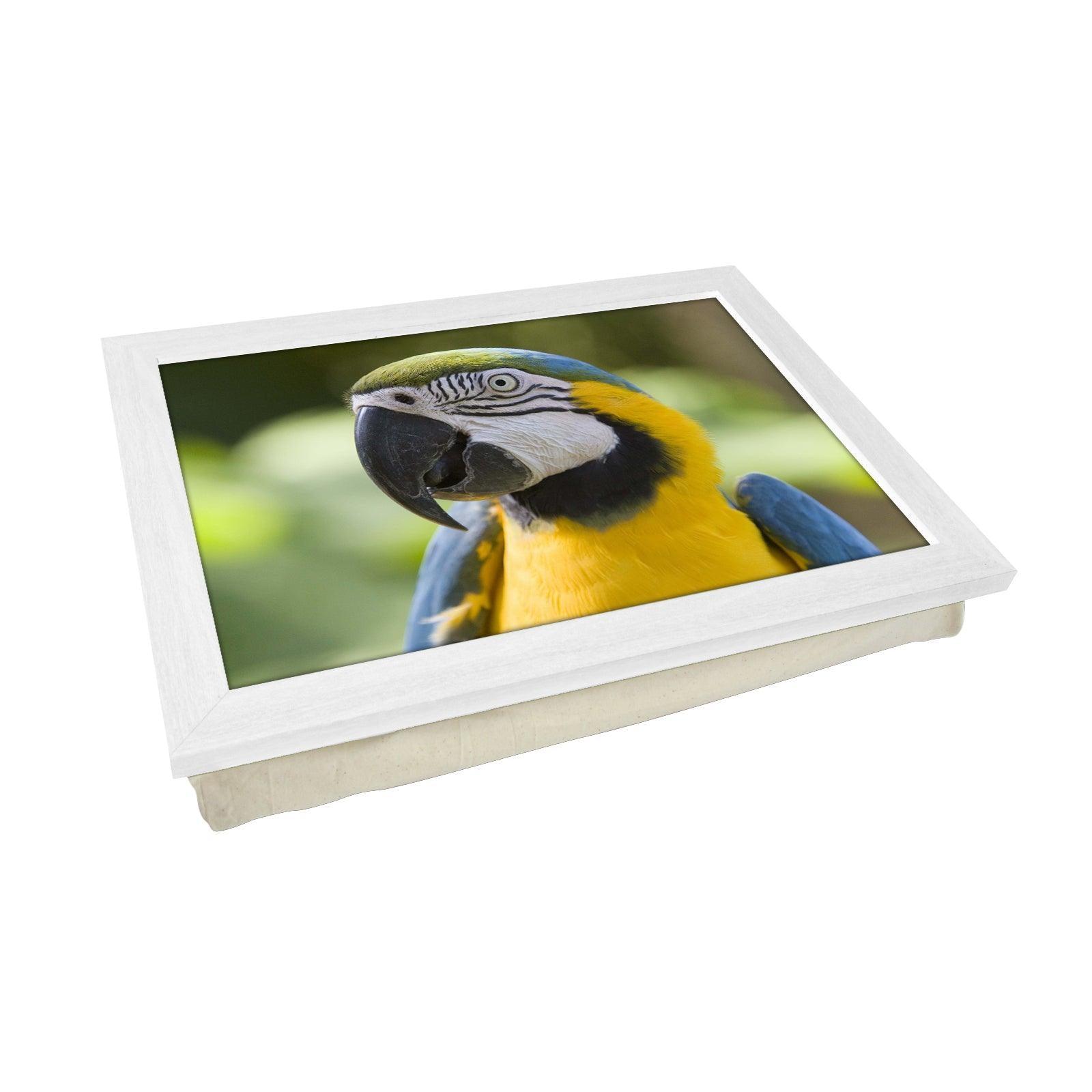 Parrot Lap Tray - L0126 Personalised Lap Trays