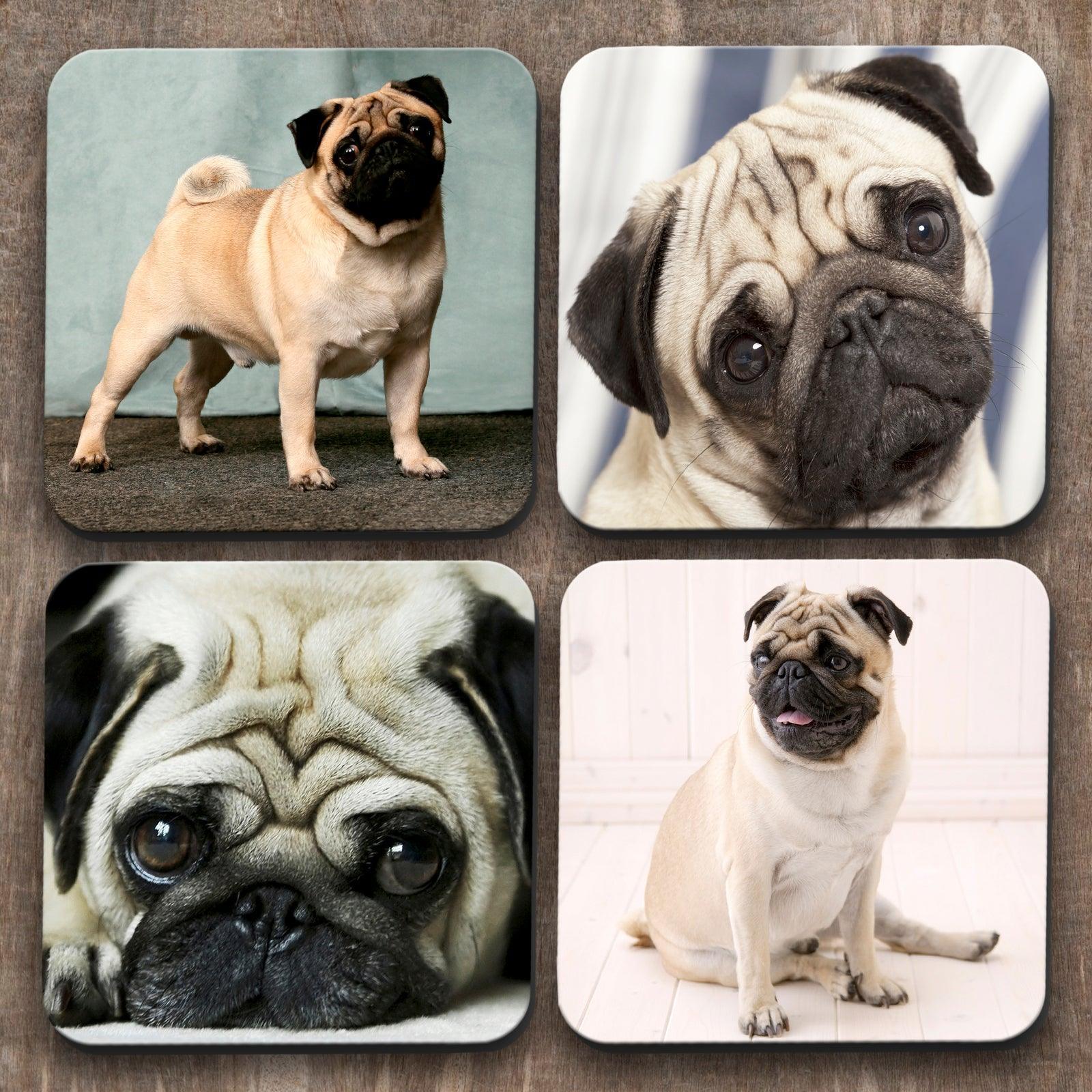 Pug Dogs x 4 Coasters C0009 Cushioned Lap Trays by Yoosh