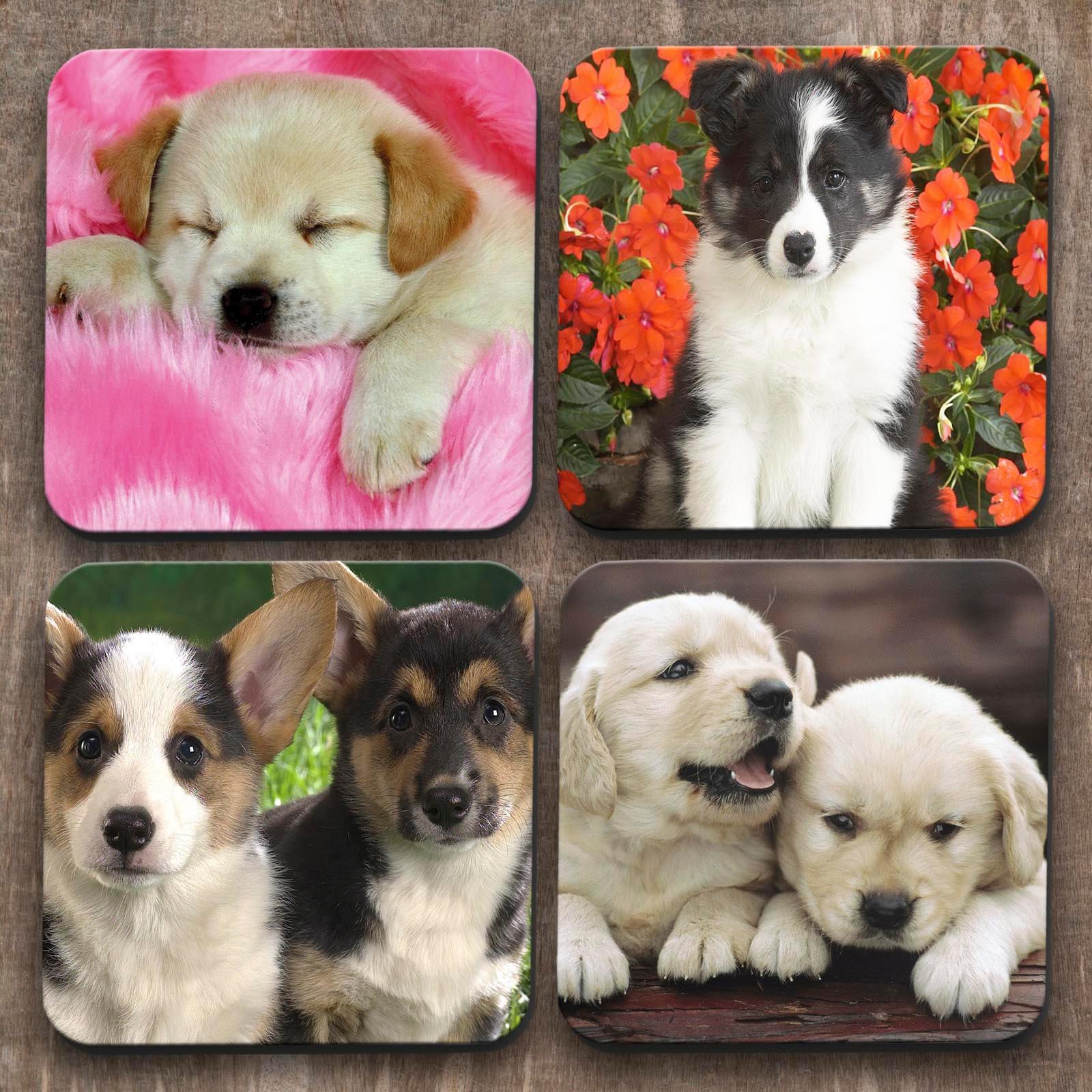 Puppies x 4 Coasters C0018 Cushioned Lap Trays by Yoosh