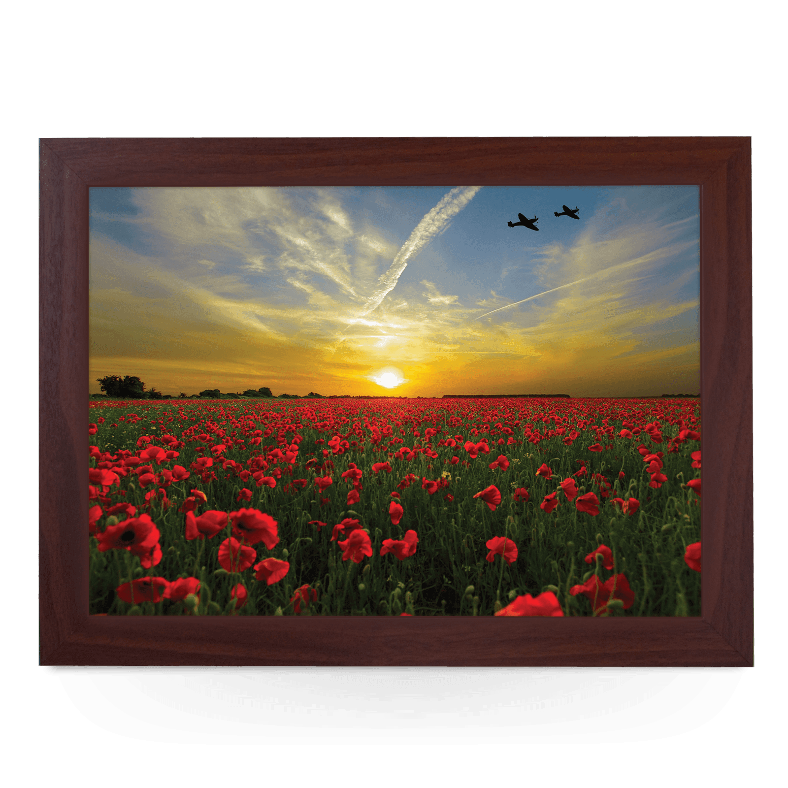 Remembrance Poppy Field Lap Tray - L612 - Cushioned Lap Trays by Yoosh