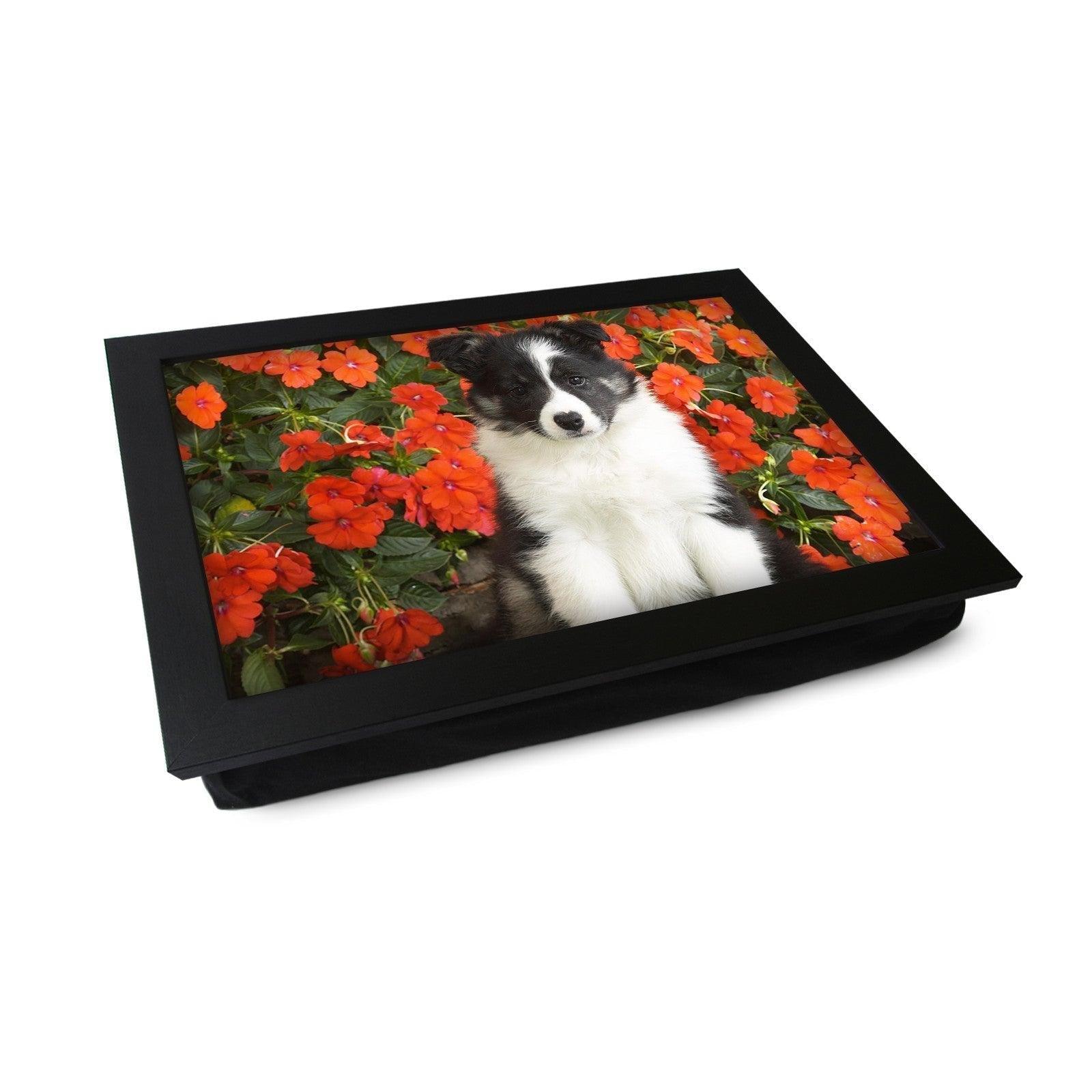 Shetland Sheepdog Puppy Lap Tray - L0039 Personalised Lap Trays