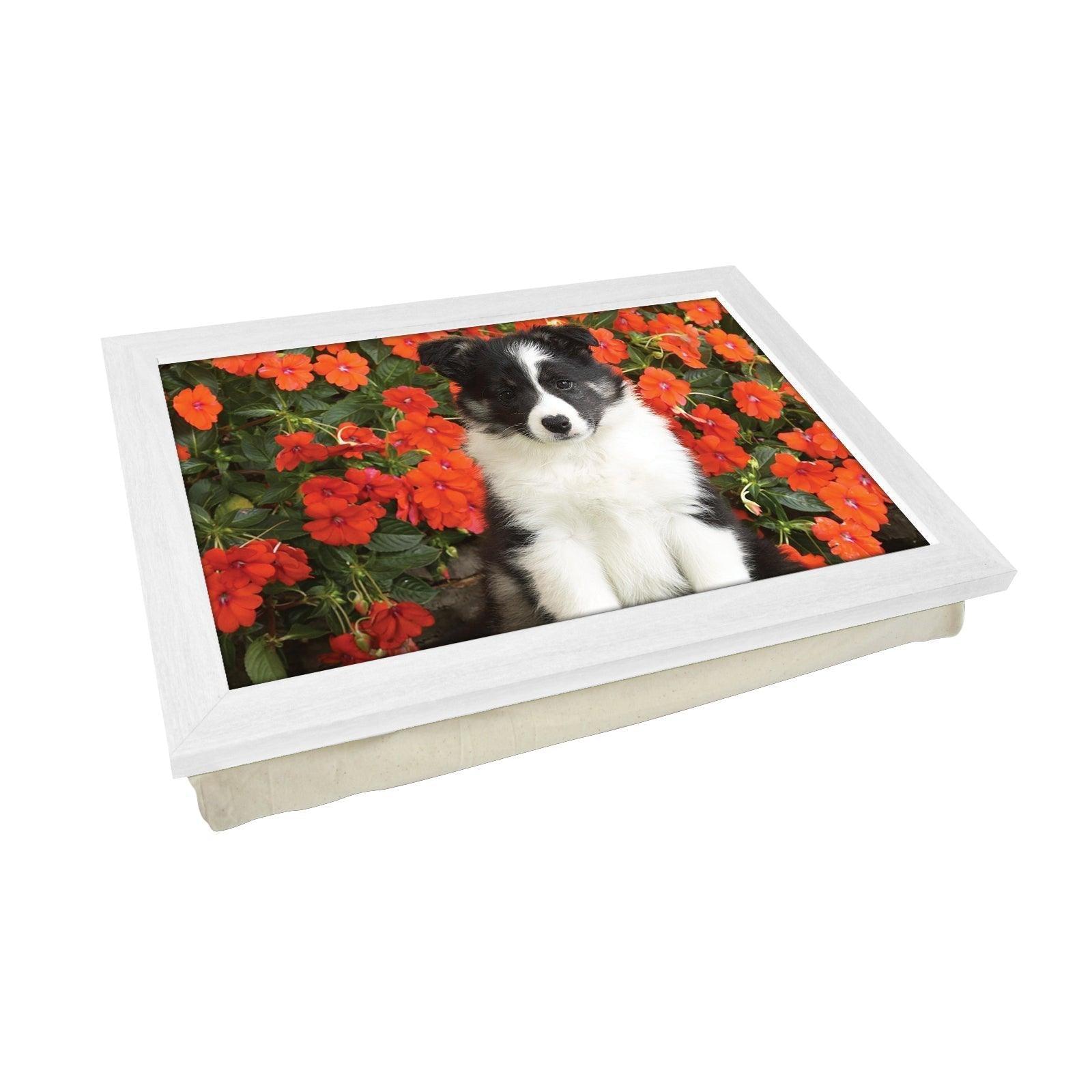 Shetland Sheepdog Puppy Lap Tray - L0039 Personalised Lap Trays