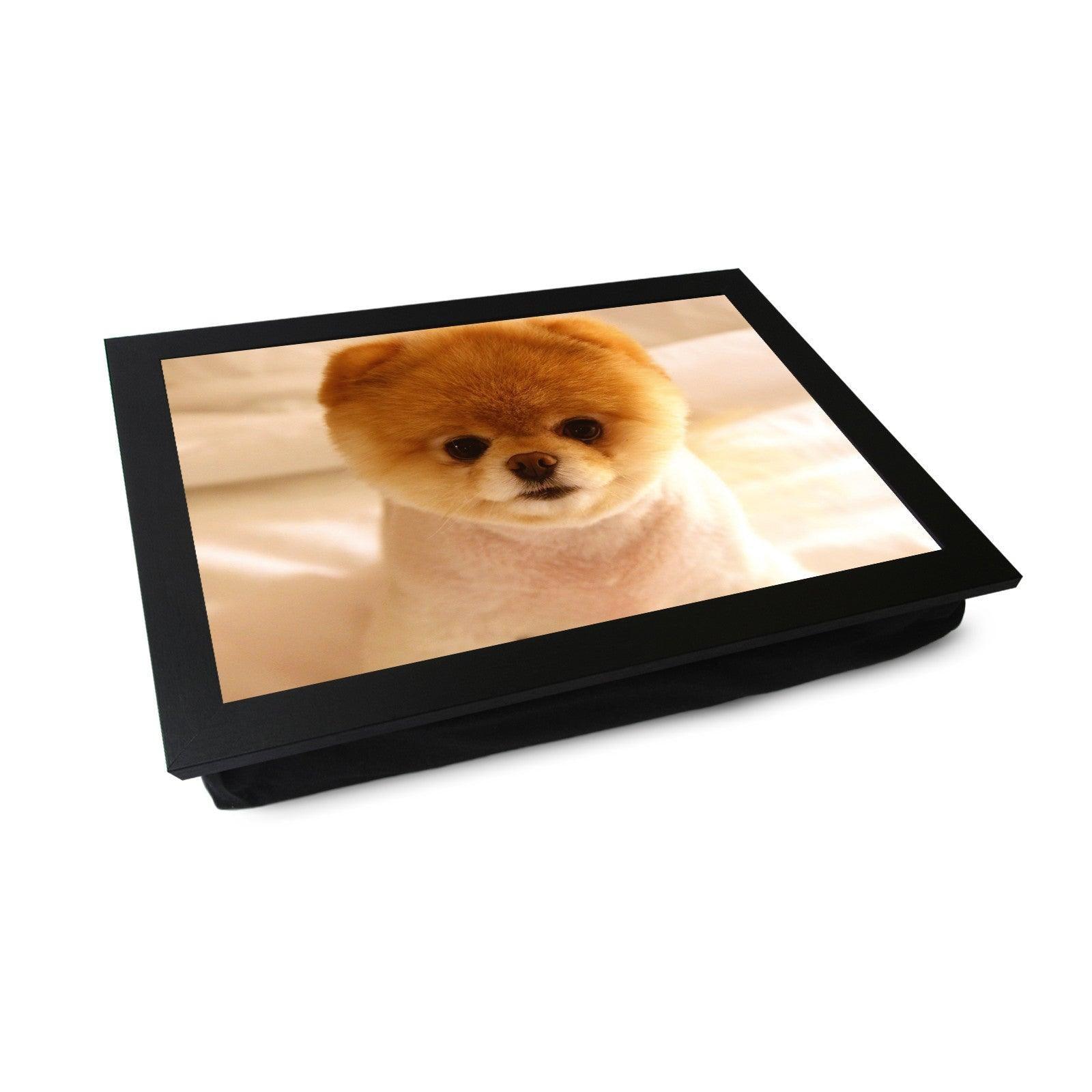 Short Haired Pomeranian Dog Lap Tray - L0116 Personalised Lap Trays