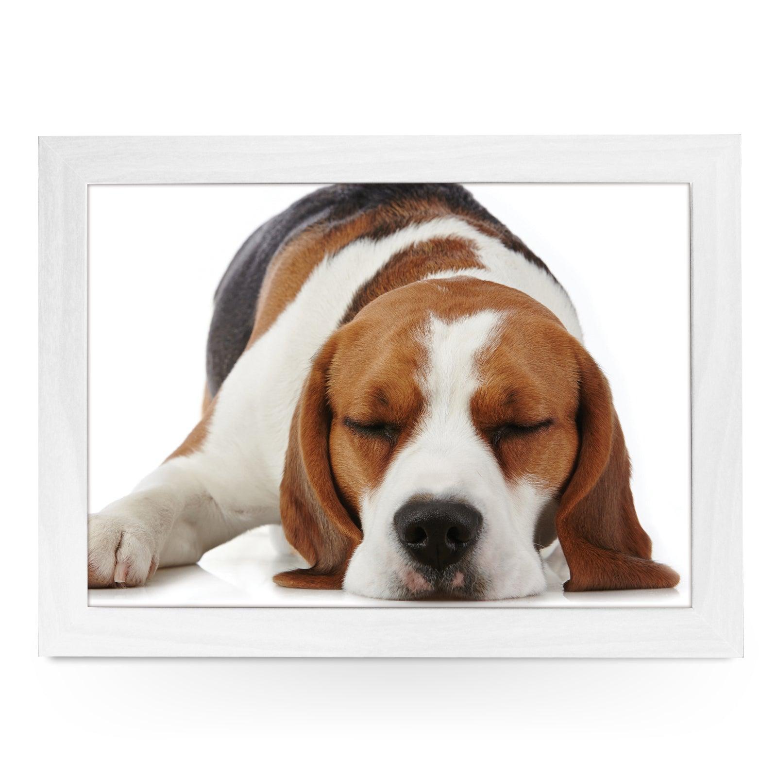 Sleeping Beagle Lap Tray - L0115 Personalised Lap Trays