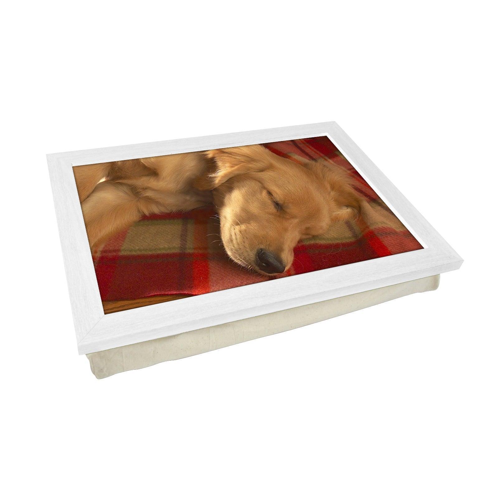 Sleeping Golden Retriever Lap Tray - L0041 Personalised Lap Trays