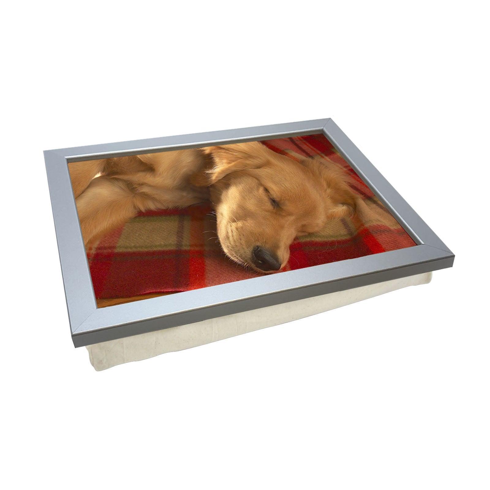 Sleeping Golden Retriever Lap Tray - L041 - Yoosh