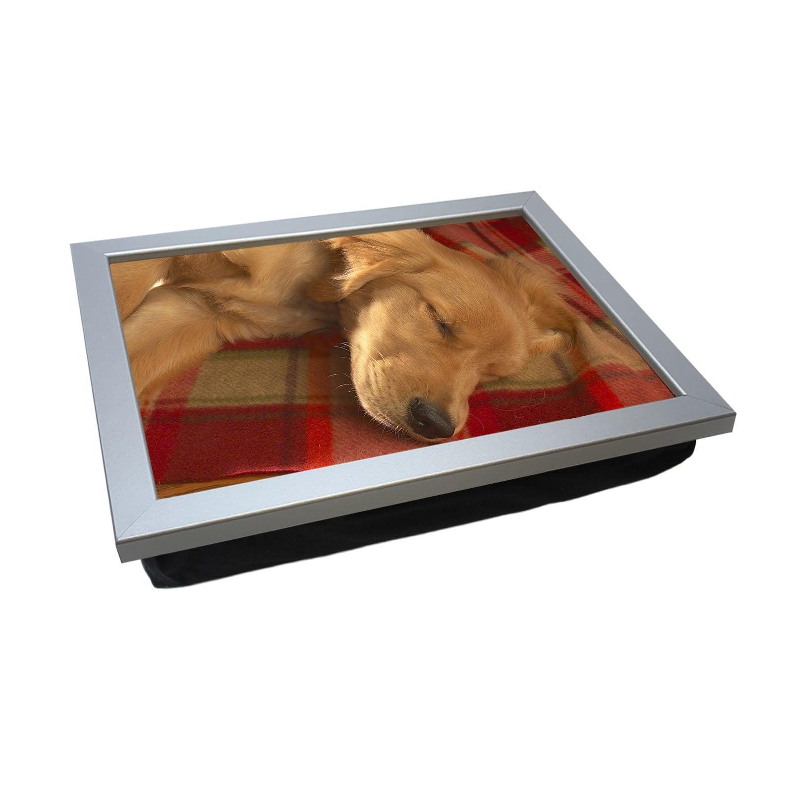 Sleeping Golden Retriever Lap Tray - L041 - Yoosh