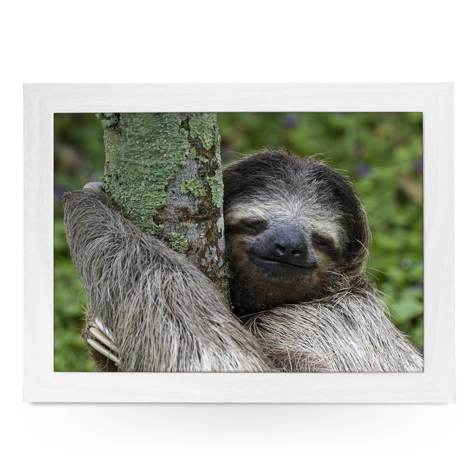 Sloth Lap Tray - L0749 Personalised Lap Trays