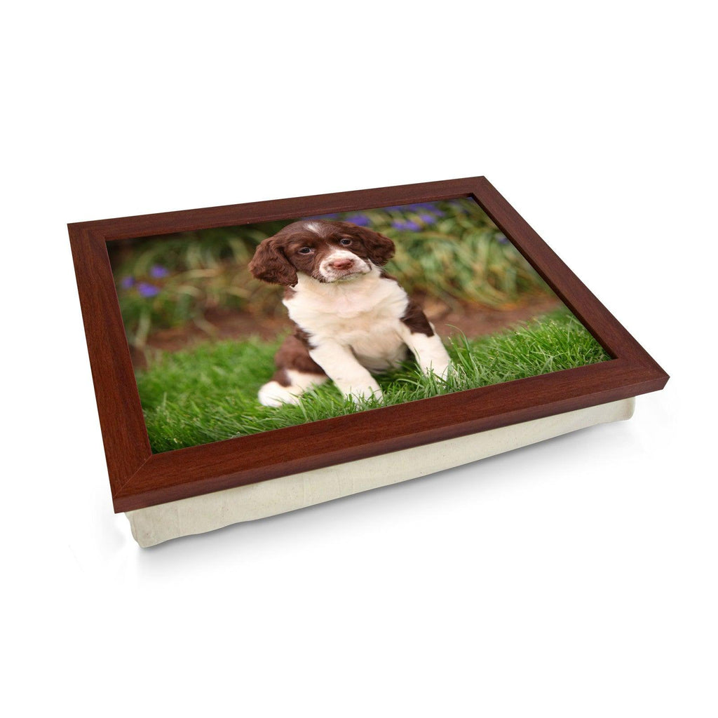 Springer Spaniel Puppy Lap Tray - L0586 Personalised Lap Trays