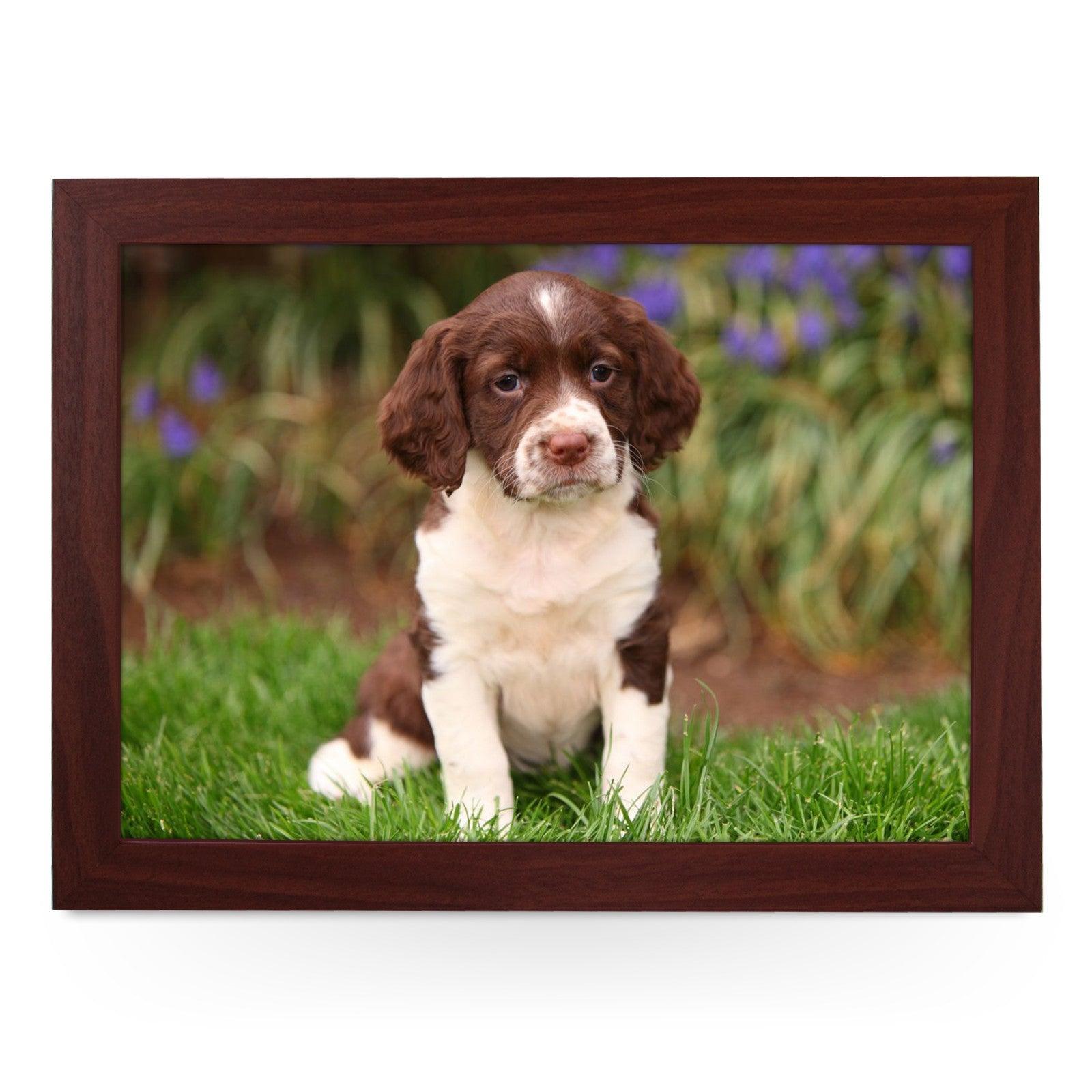 Springer Spaniel Puppy Lap Tray - L0586 Personalised Lap Trays