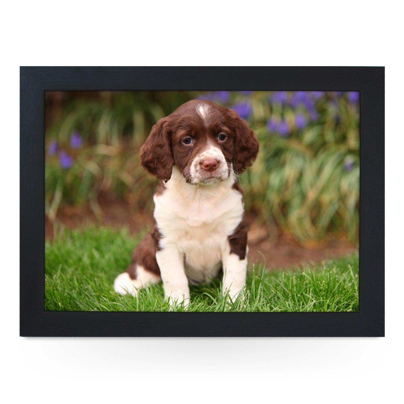 Springer Spaniel Puppy Lap Tray - L0586 Personalised Lap Trays