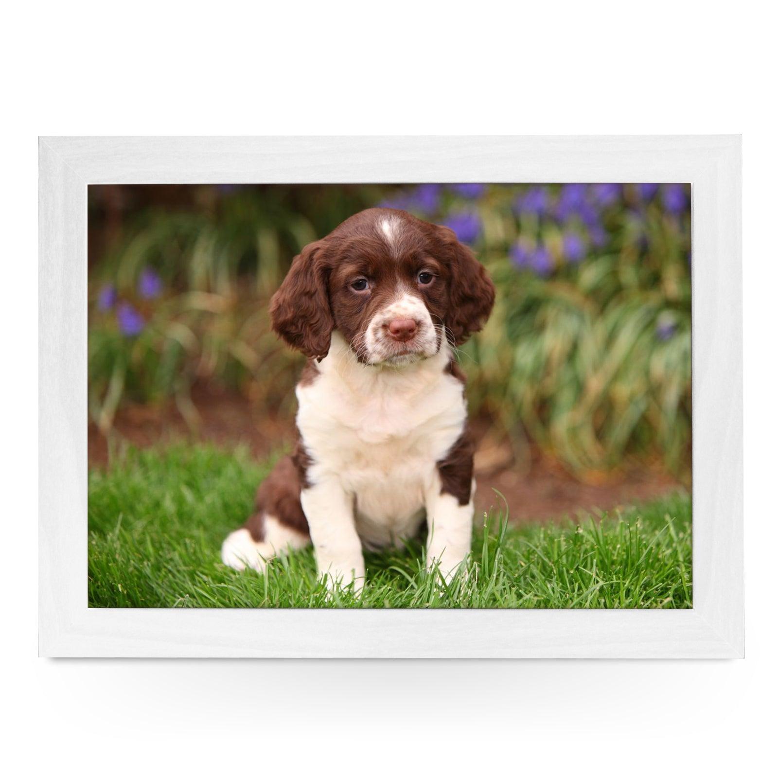 Springer Spaniel Puppy Lap Tray - L0586 Personalised Lap Trays
