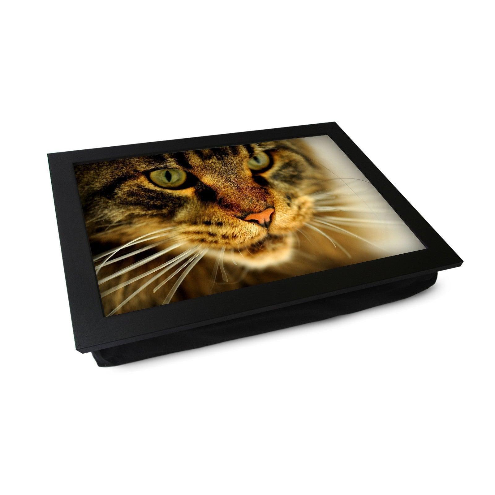 Tabby Cat Close Up Lap Tray - L0044 Personalised Lap Trays