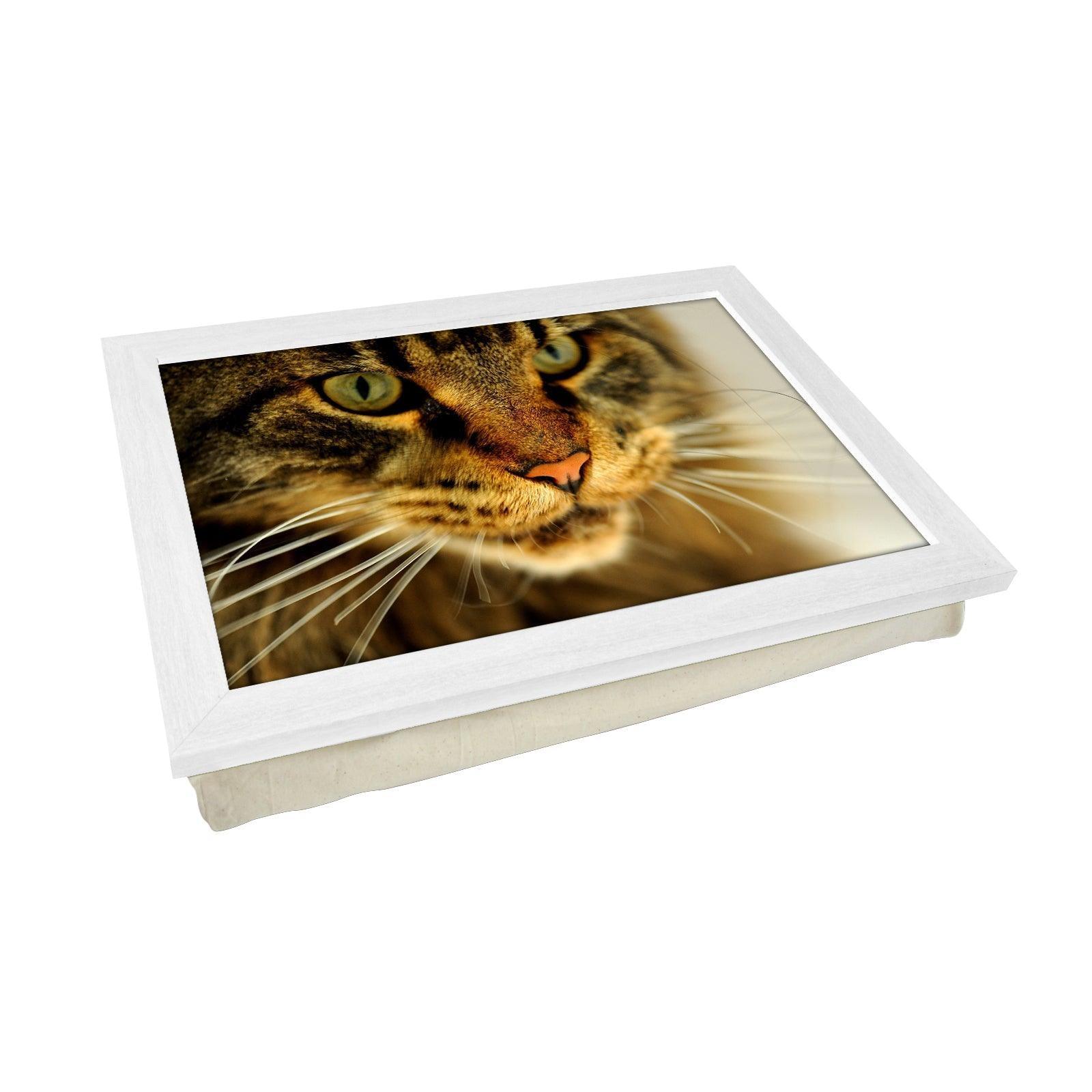 Tabby Cat Close Up Lap Tray - L0044 Personalised Lap Trays
