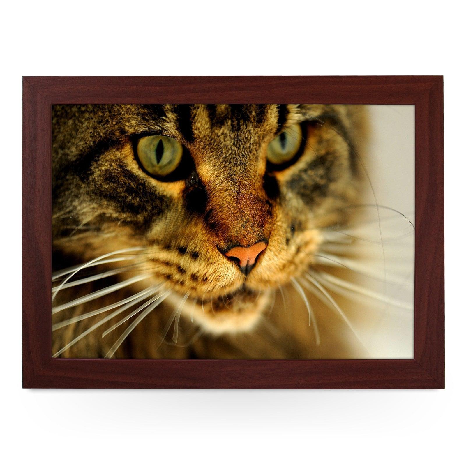 Tabby Cat Close Up Lap Tray - L0044 Personalised Lap Trays