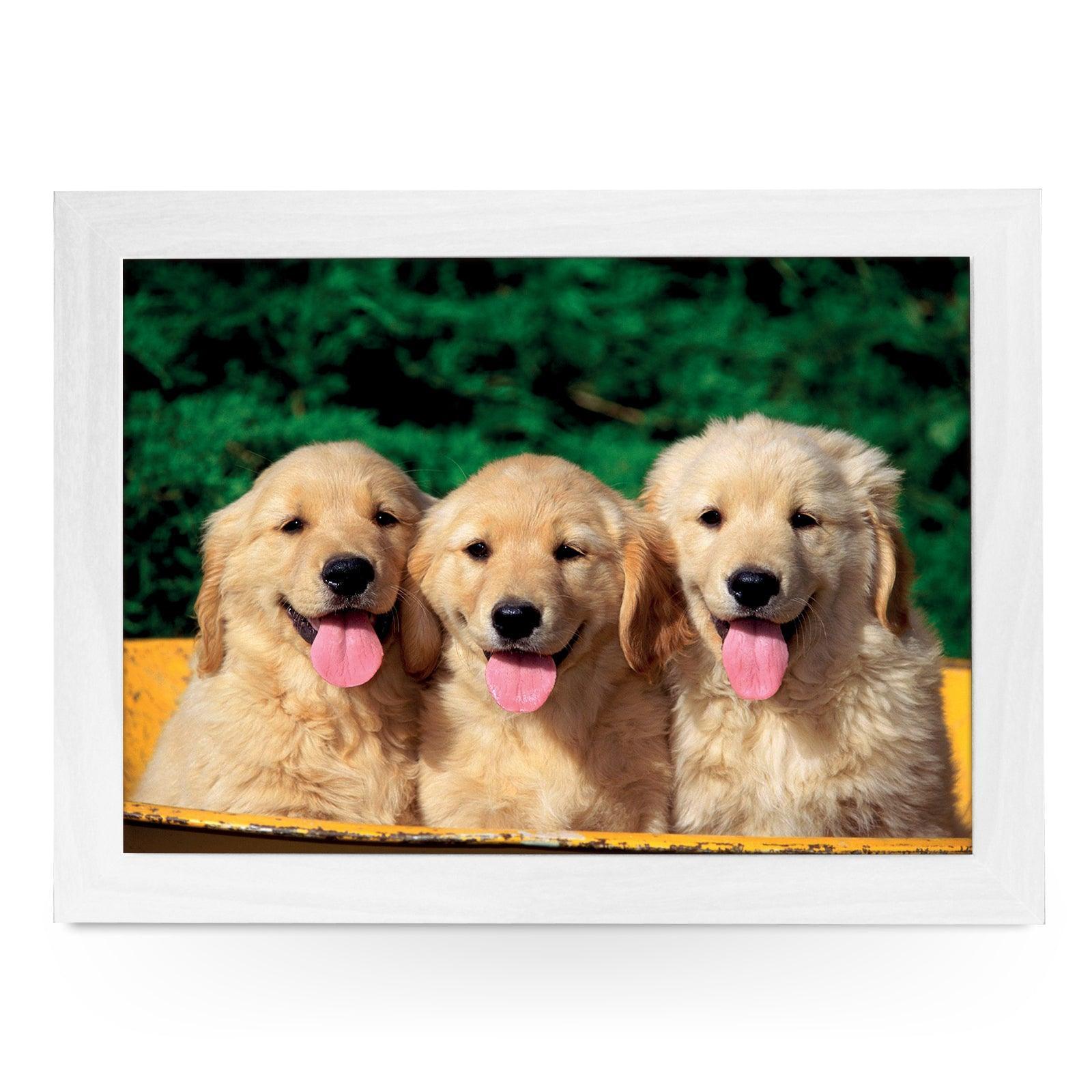 Three Golden Retriever Puppies In A Tub Lap Tray - L0397 Personalised Lap Trays