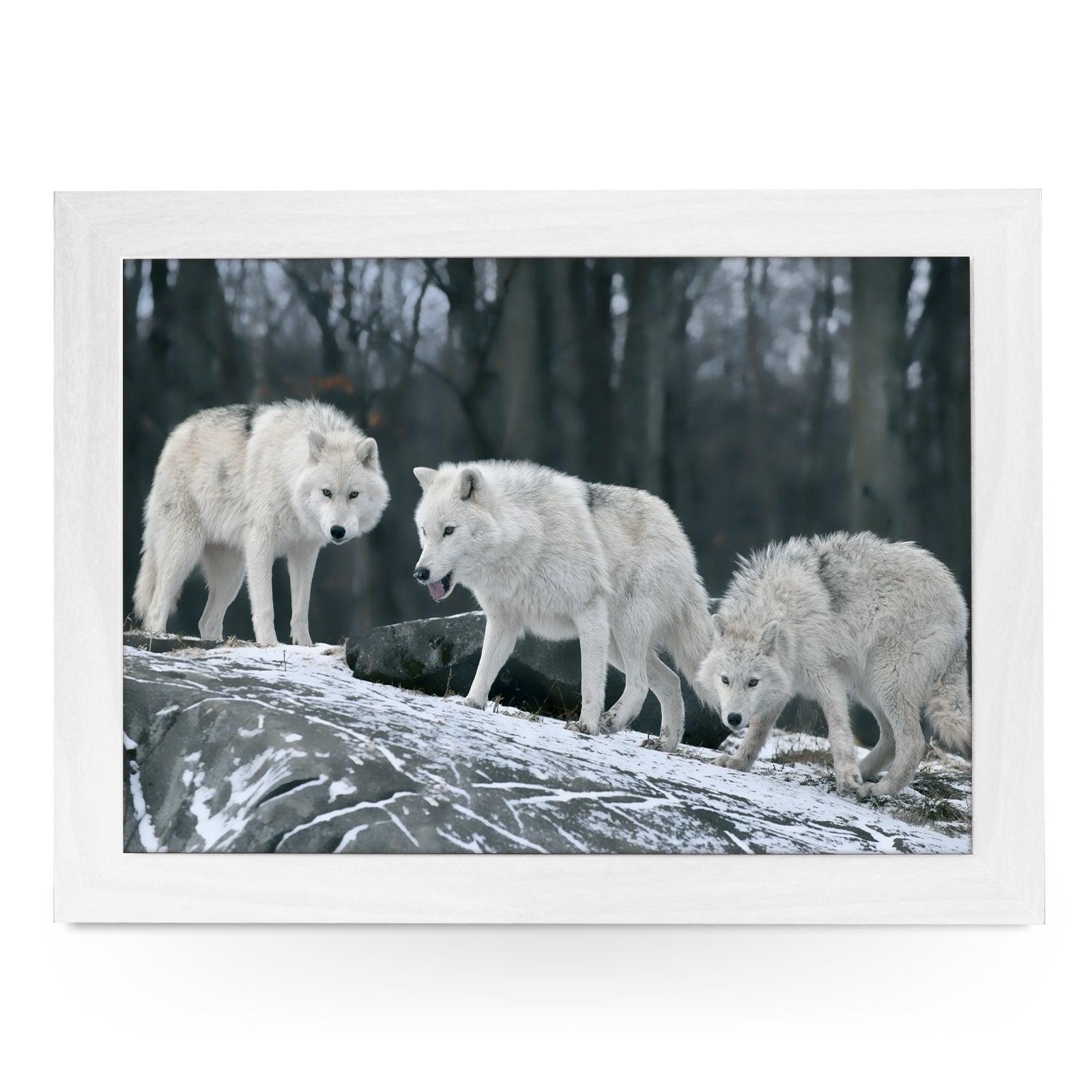 Three White Wolves Framed Print - FP3 - Yoosh
