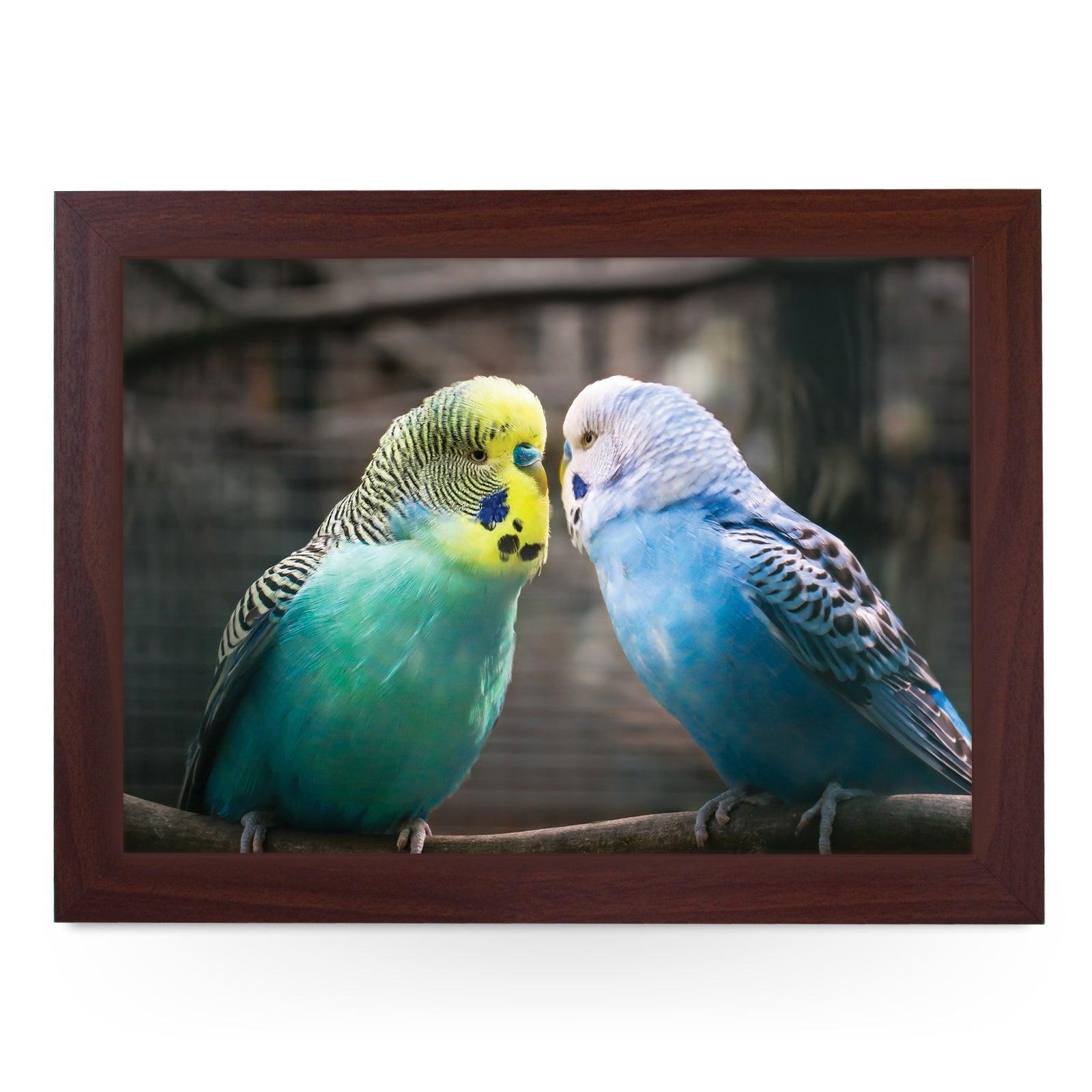 Vibrantly Colourful Budgies Lap Tray - L1188 - Cushioned Lap Trays by Yoosh