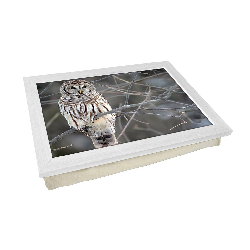 White Owl Lap Tray - L0420 Personalised Lap Trays