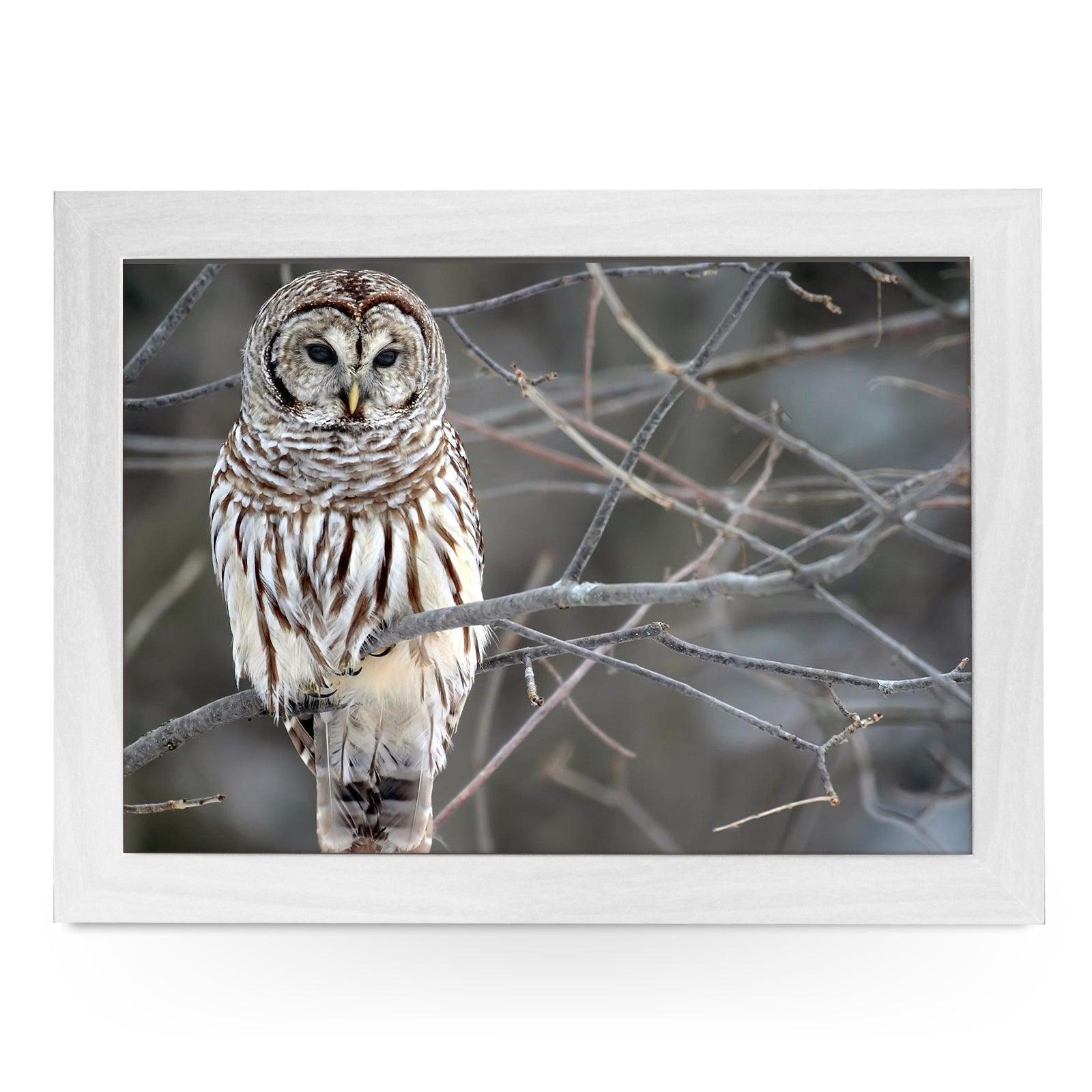 White Owl Lap Tray - L0420 Personalised Lap Trays