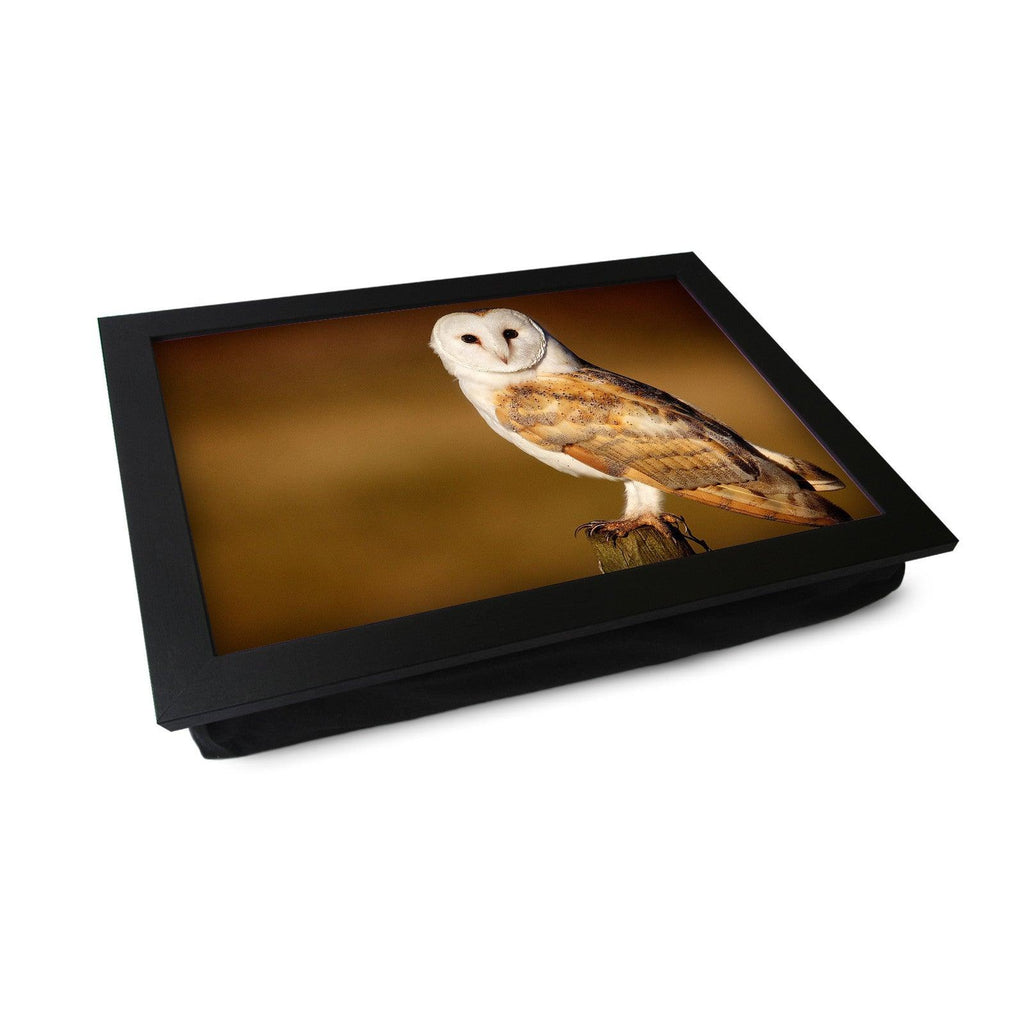 Barn Owl Lap Tray - L0421 Personalised Lap Trays
