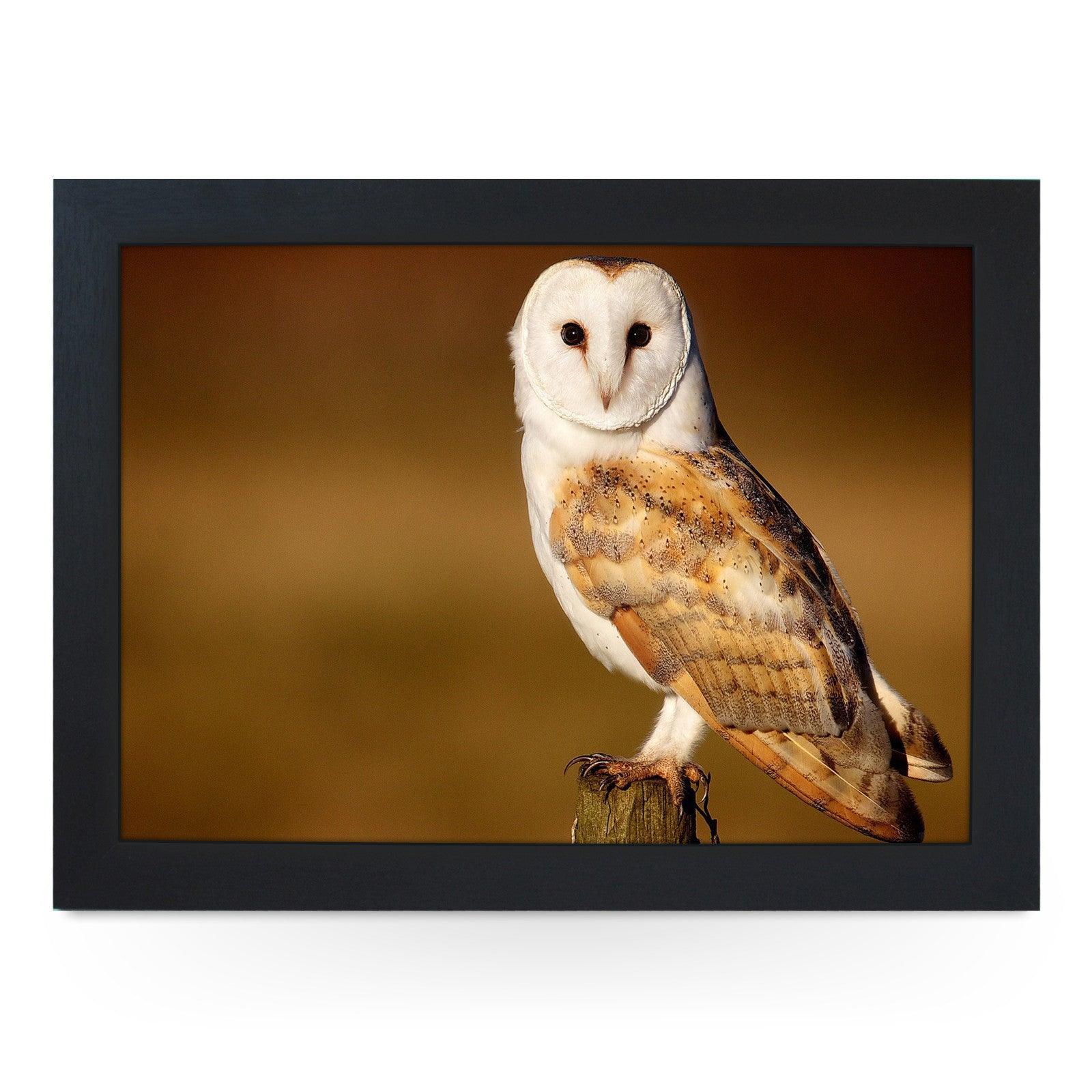Barn Owl Lap Tray - L0421 Personalised Lap Trays