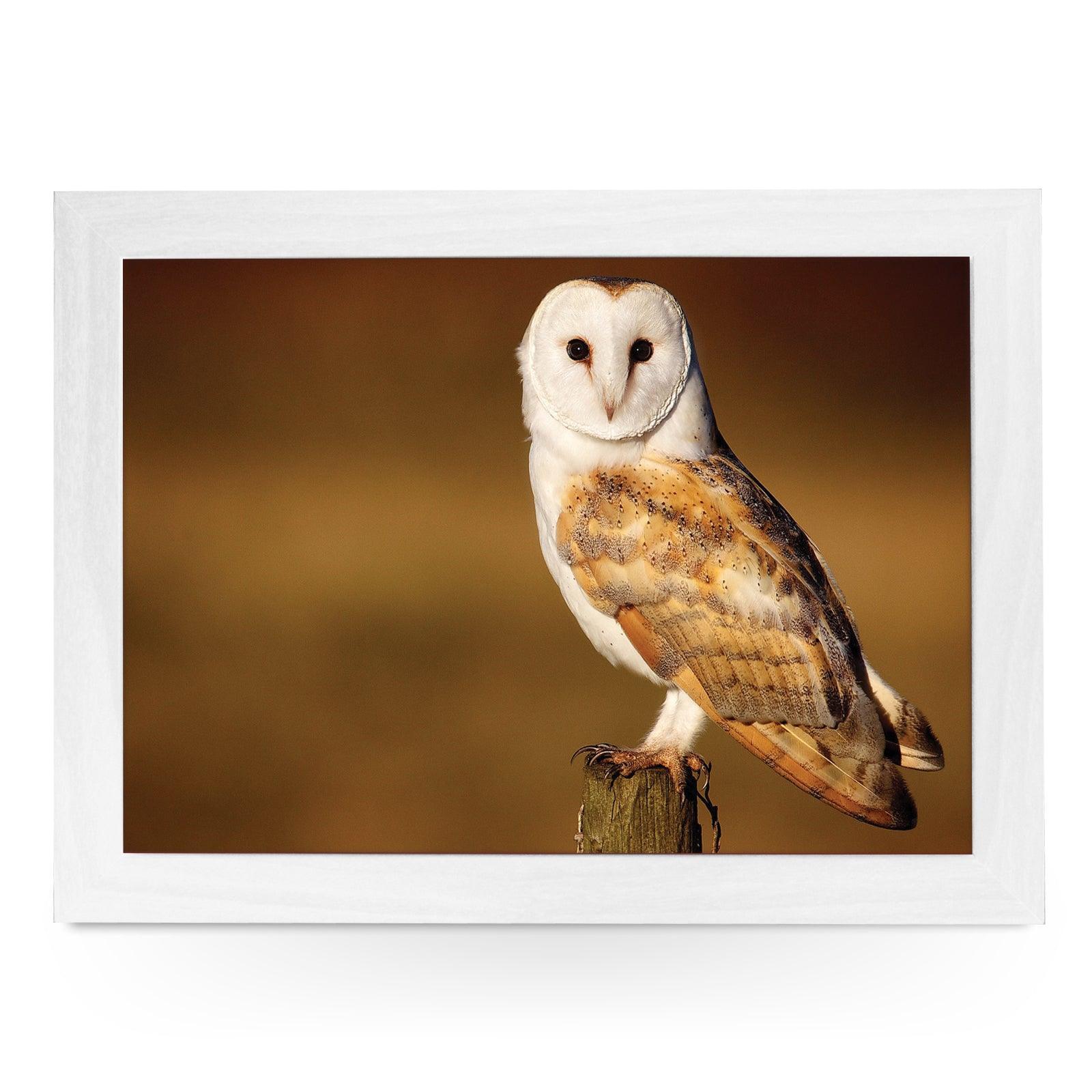 Barn Owl Lap Tray - L0421 Personalised Lap Trays