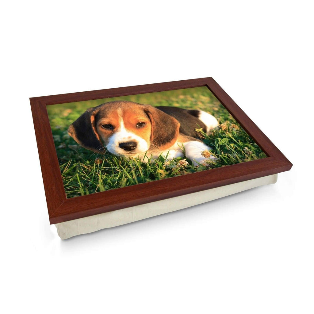 Beagle Puppy Lap Tray - L0159 Personalised Lap Trays