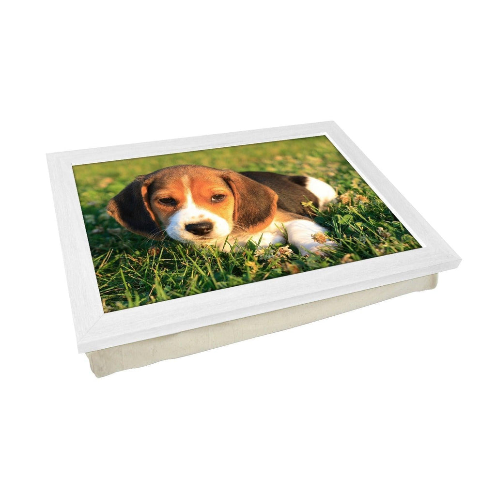 Beagle Puppy Lap Tray - L0159 Personalised Lap Trays