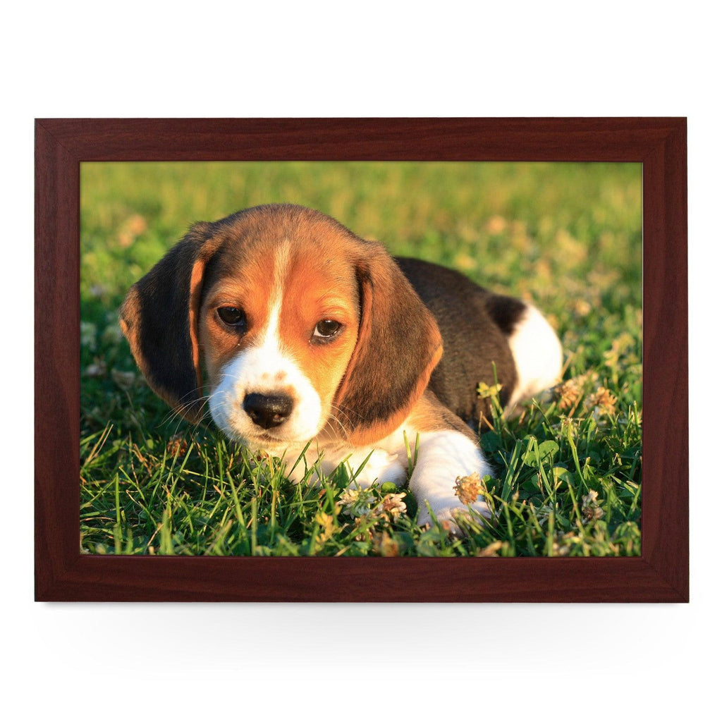 Beagle Puppy Lap Tray - L0159 Personalised Lap Trays