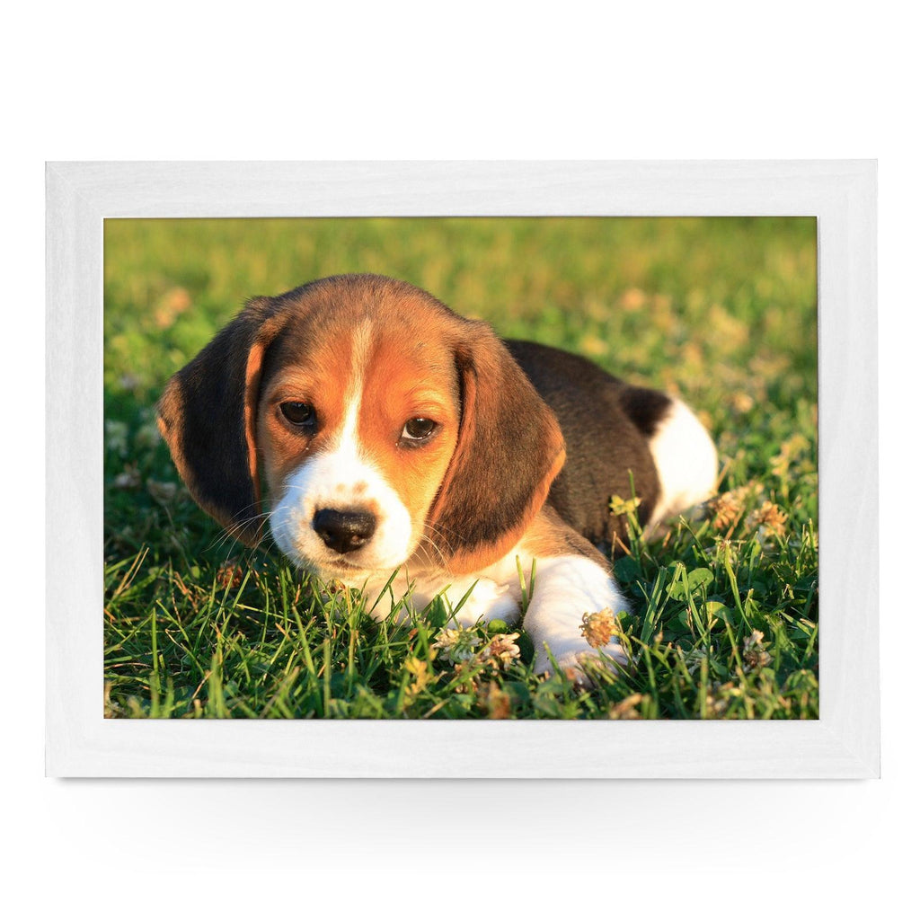 Beagle Puppy Lap Tray - L0159 Personalised Lap Trays