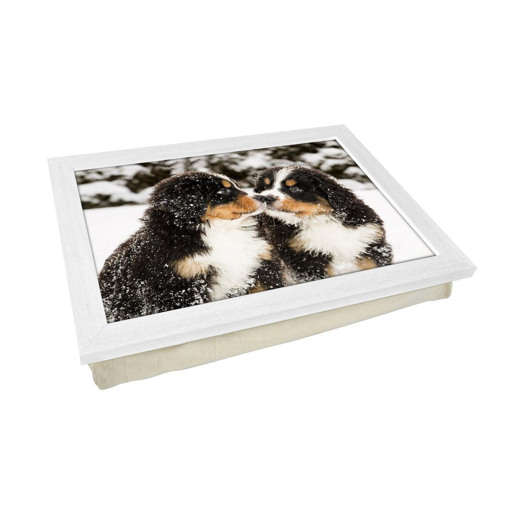 Bernese Mountain Puppies in the Snow Lap Tray - L0160 Personalised Lap Trays