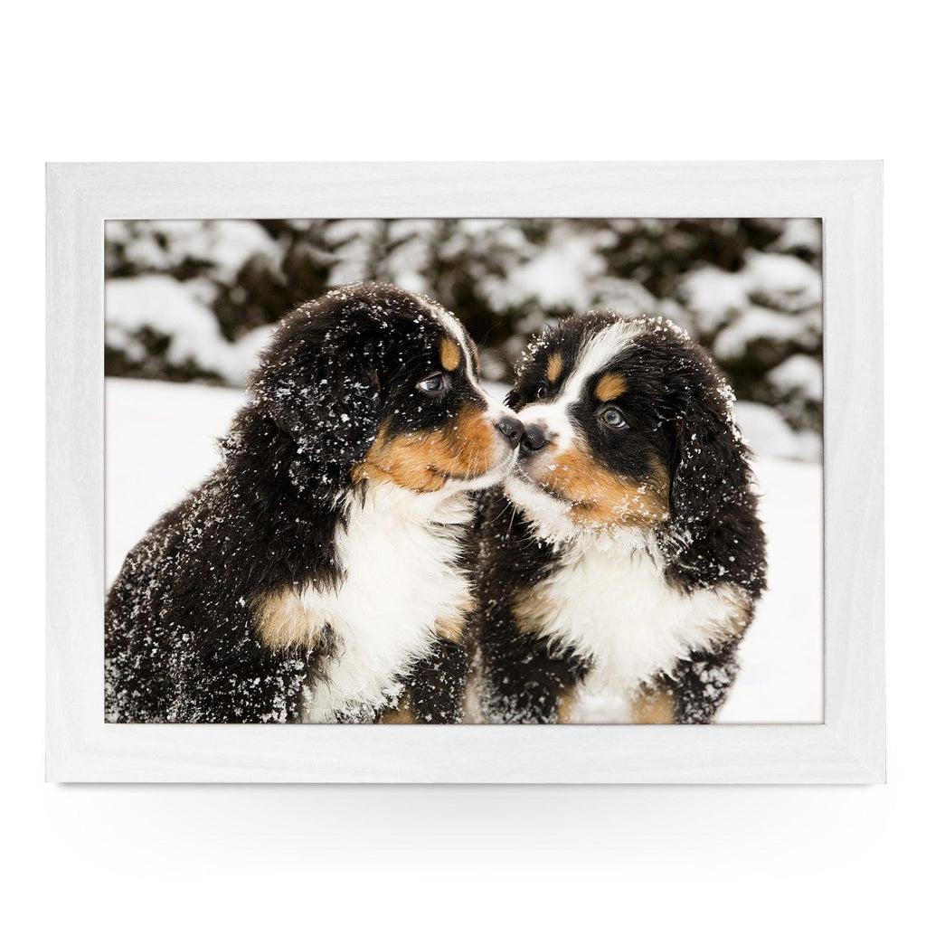 Bernese Mountain Puppies in the Snow Lap Tray - L0160 Personalised Lap Trays