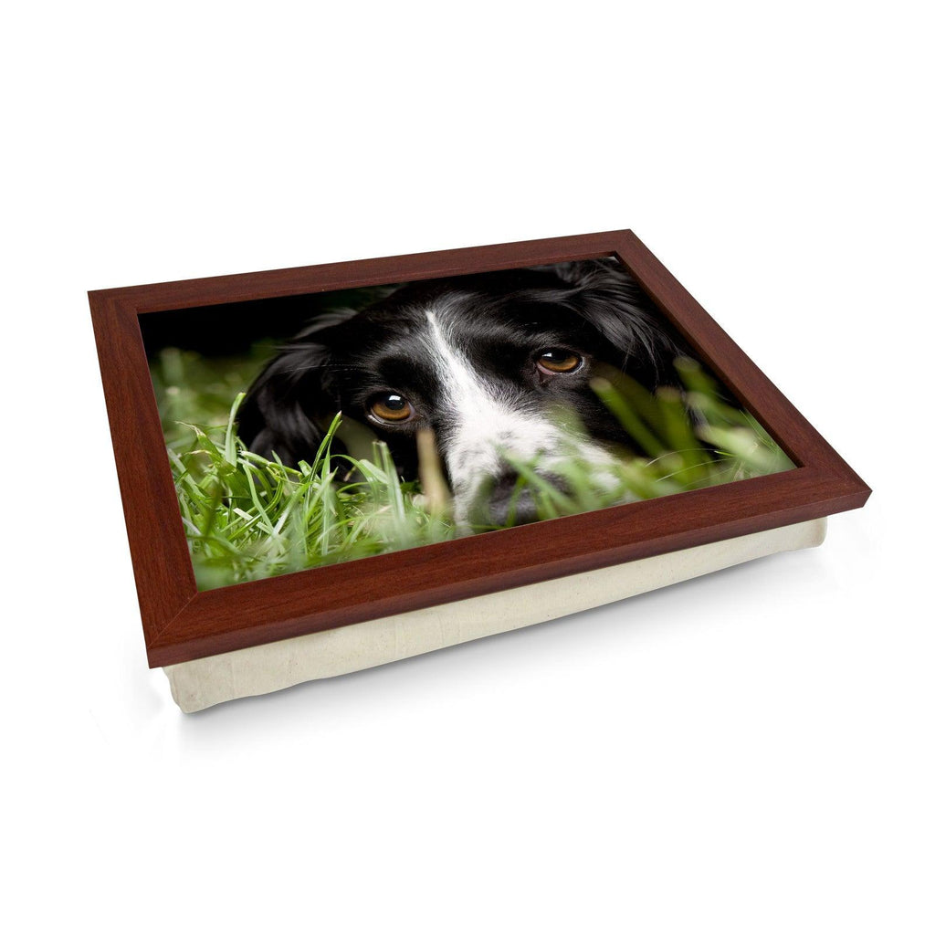 Black Cocker Spaniel Dog Lap Tray - L0584 Personalised Lap Trays