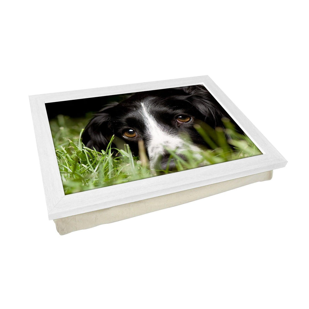 Black Cocker Spaniel Dog Lap Tray - L0584 Personalised Lap Trays