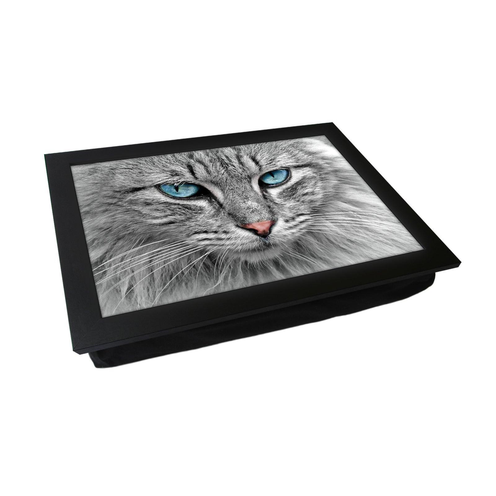 Blue Eyed Grey Tabby Cat Lap Tray Lap Tray - L1191 - Cushioned Lap Trays by Yoosh