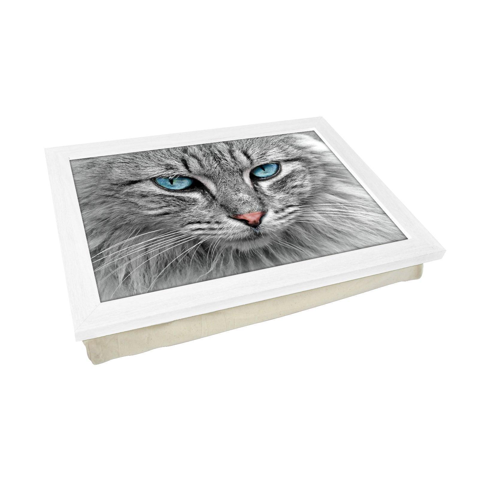 Blue Eyed Grey Tabby Cat Lap Tray Lap Tray - L1191 - Cushioned Lap Trays by Yoosh