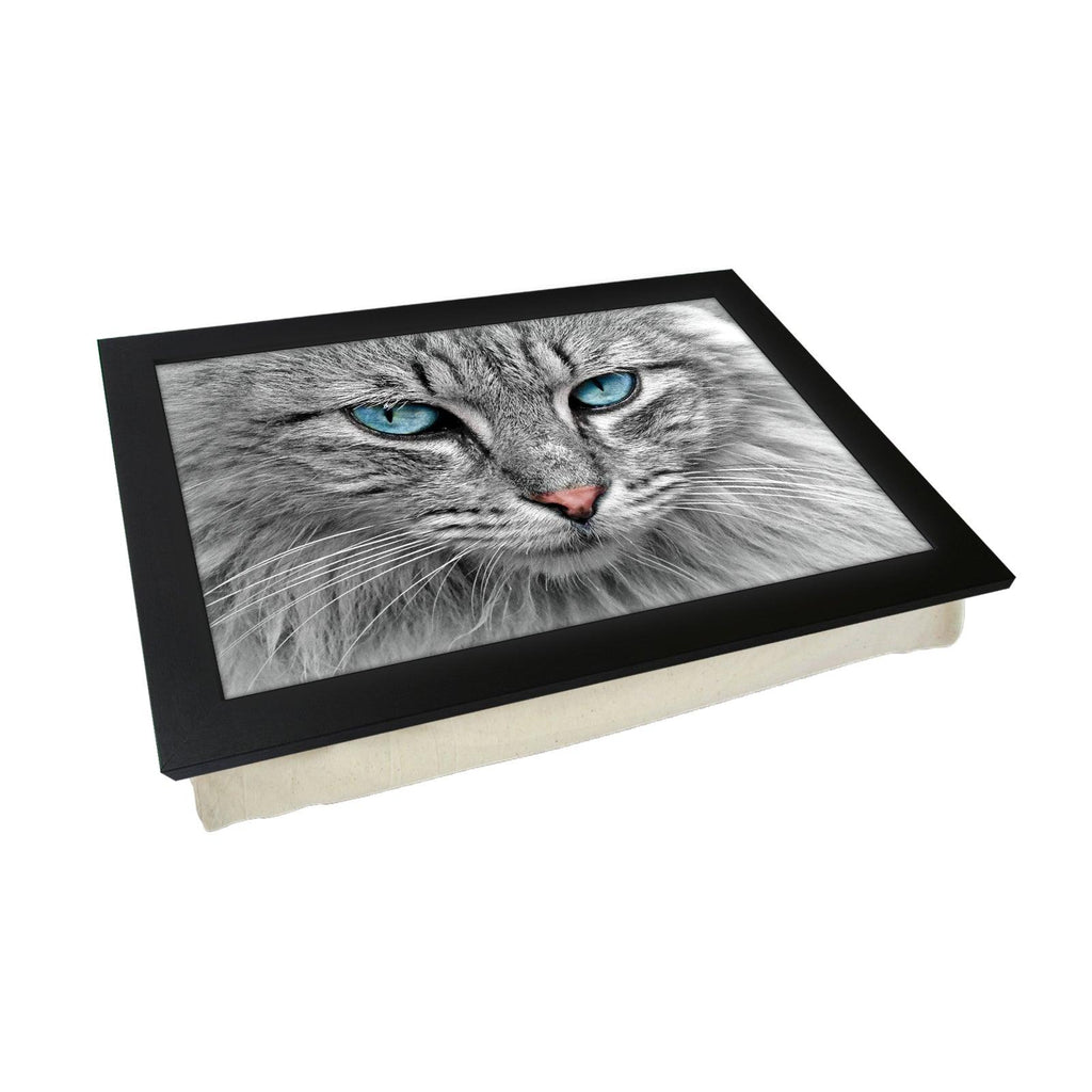 Blue Eyed Grey Tabby Cat Lap Tray Lap Tray - L1191 - Cushioned Lap Trays by Yoosh