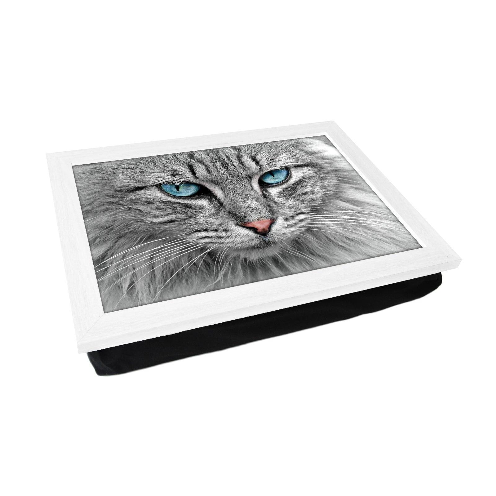 Blue Eyed Grey Tabby Cat Lap Tray Lap Tray - L1191 - Cushioned Lap Trays by Yoosh