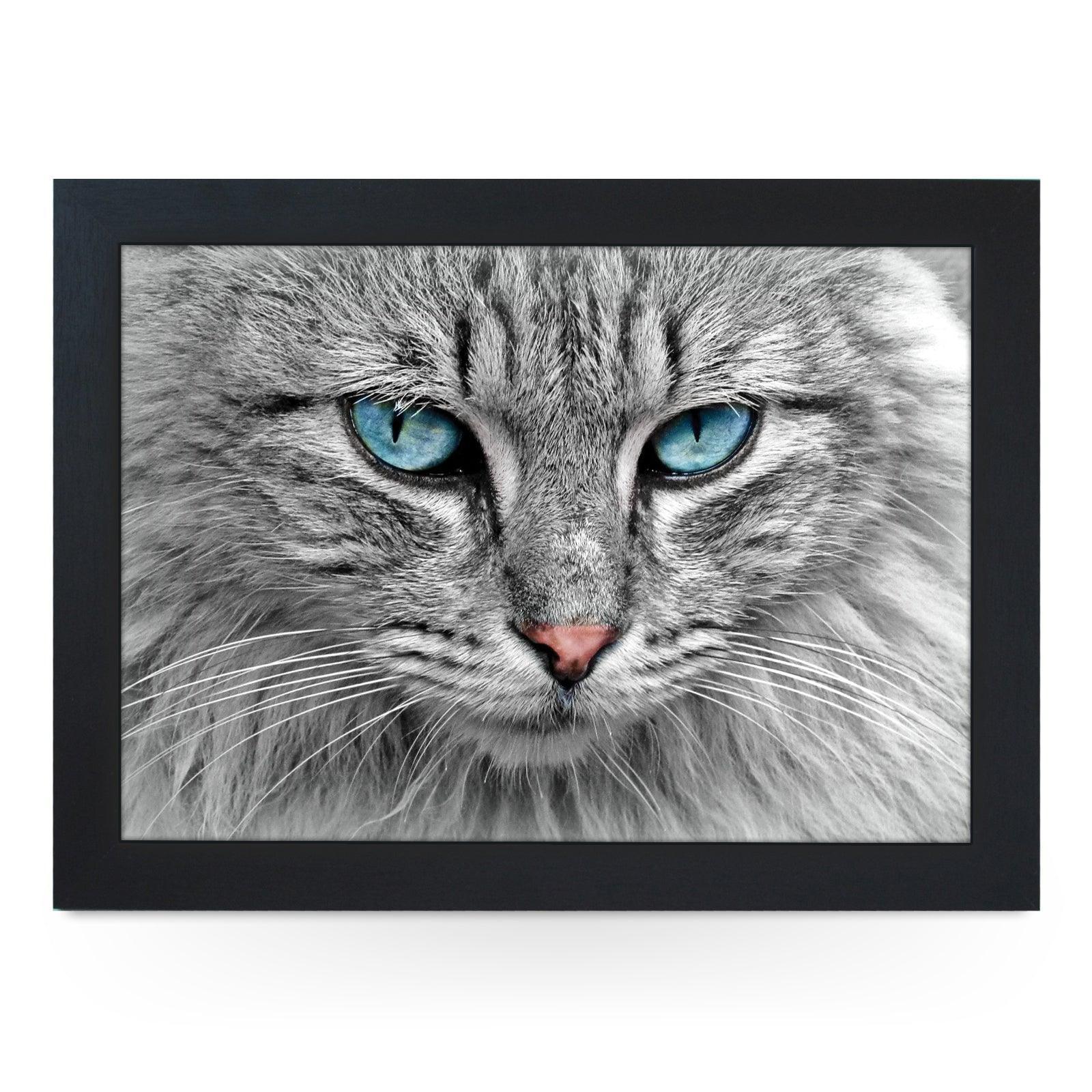 Blue Eyed Grey Tabby Cat Lap Tray Lap Tray - L1191 - Cushioned Lap Trays by Yoosh