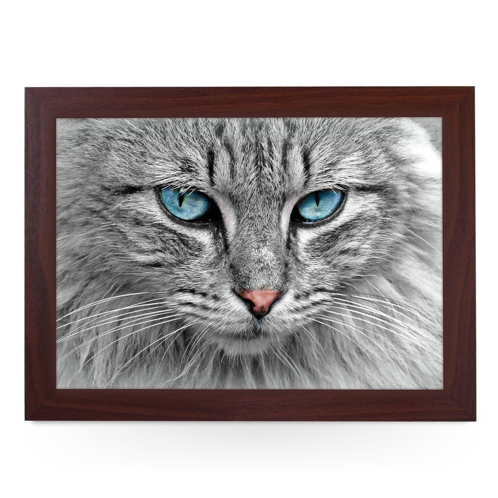 Blue Eyed Grey Tabby Cat Lap Tray Lap Tray - L1191 - Cushioned Lap Trays by Yoosh
