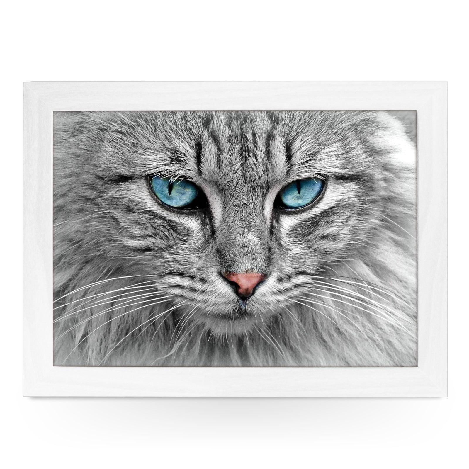 Blue Eyed Grey Tabby Cat Lap Tray Lap Tray - L1191 - Cushioned Lap Trays by Yoosh