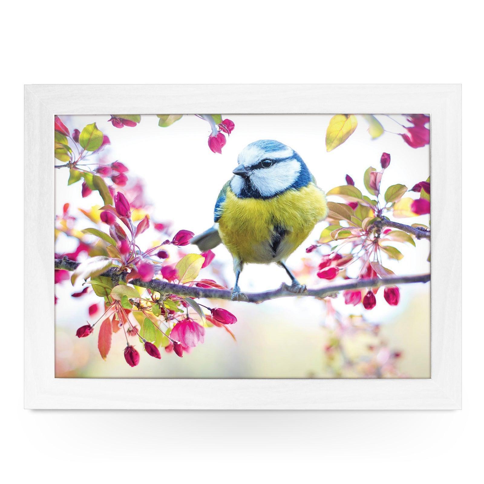Blue Tit Bird On A Blossoming Spring Branch Lap Tray - L1189 - Cushioned Lap Trays by Yoosh