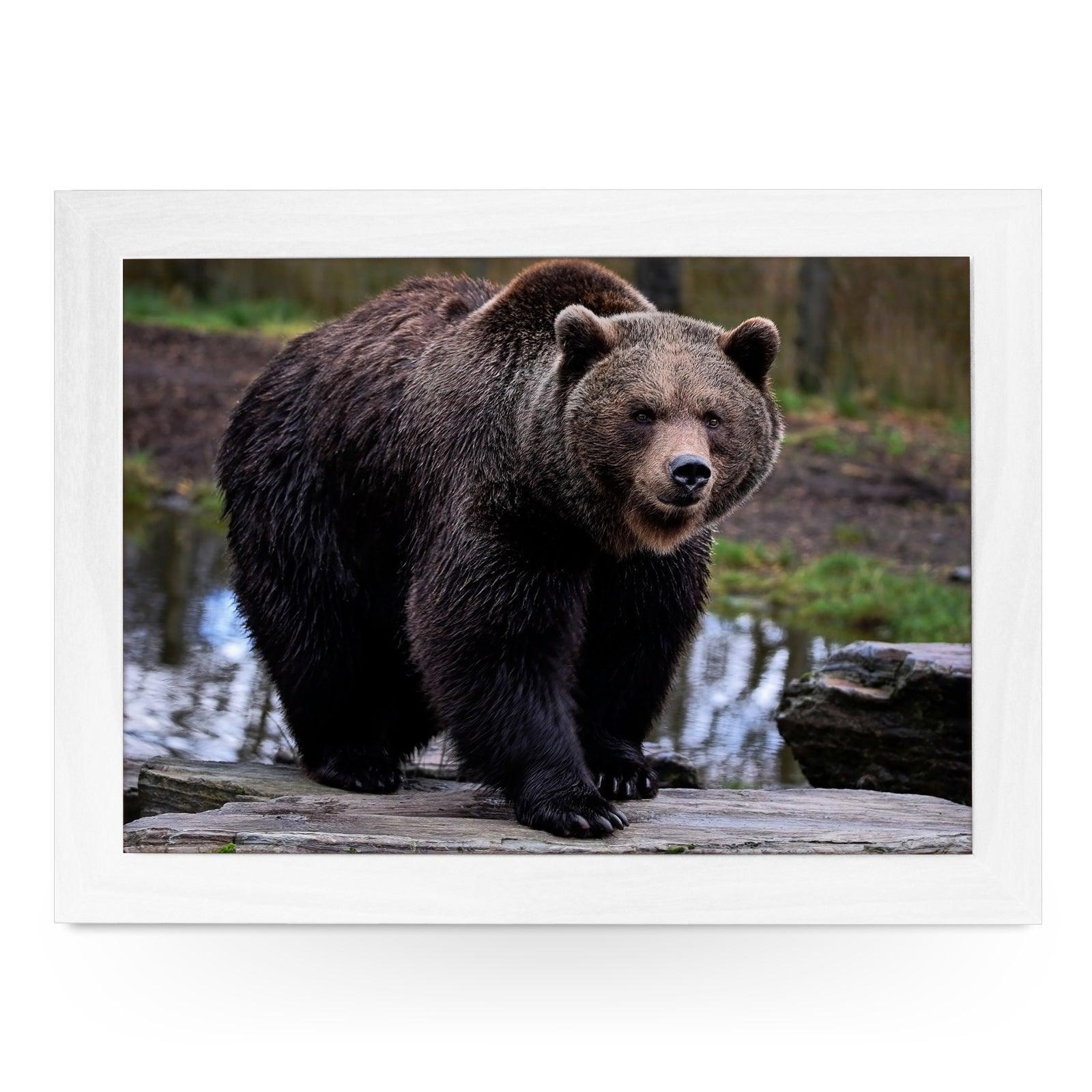 Brown Bear Lap Tray - L1183 - Cushioned Lap Trays by Yoosh