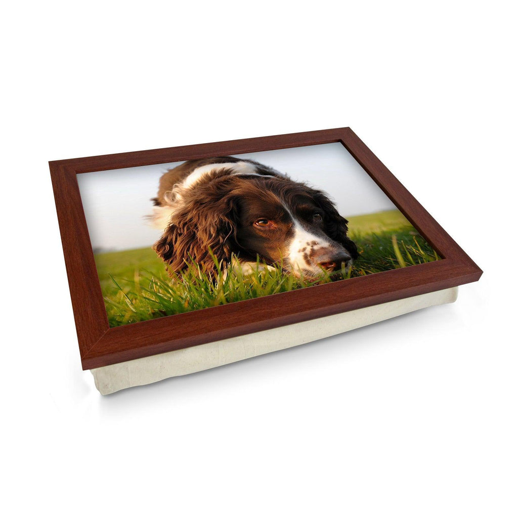 Brown Cocker Spaniel Dog Lap Tray - L0583 Personalised Lap Trays