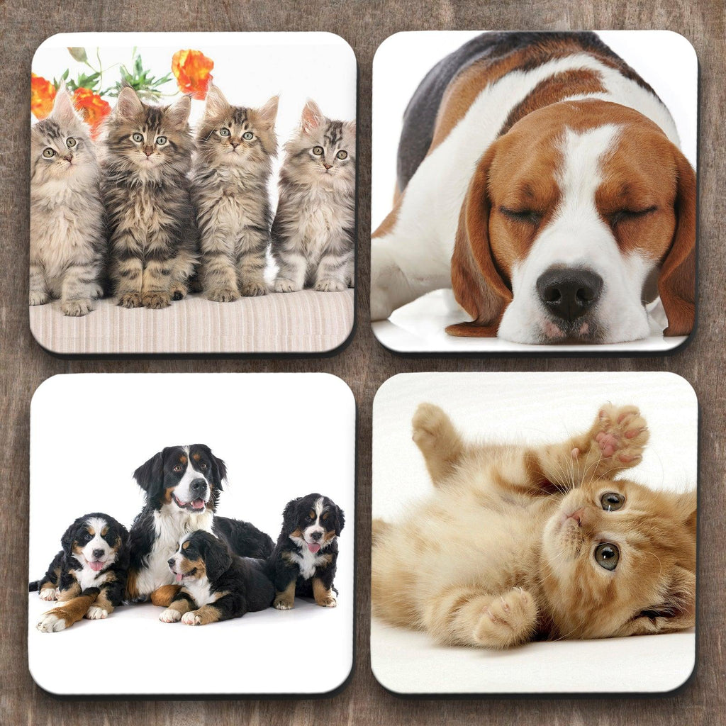 Cats vs Dogs  x 4 Coasters C0025 Cushioned Lap Trays by Yoosh